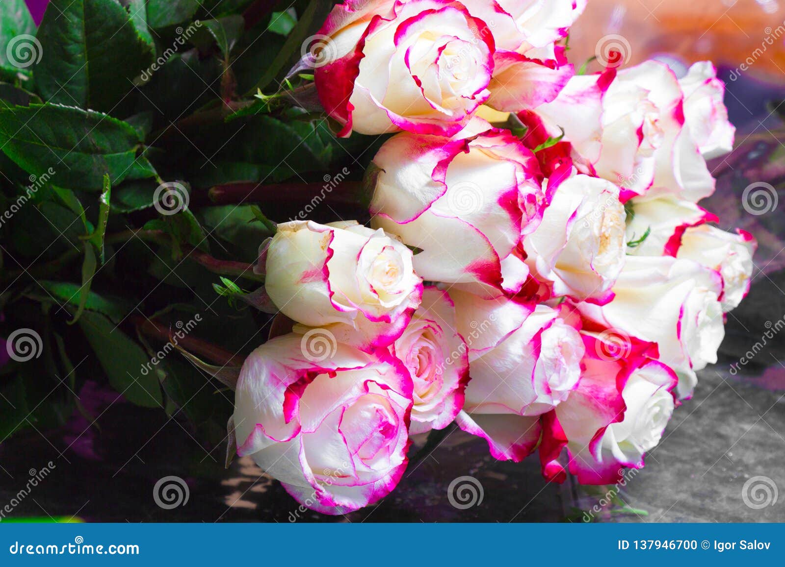 Un Bouquet Des Roses Blanches Avec La Bordure Rose Photo stock - Image du  pastel, beauté: 137946700