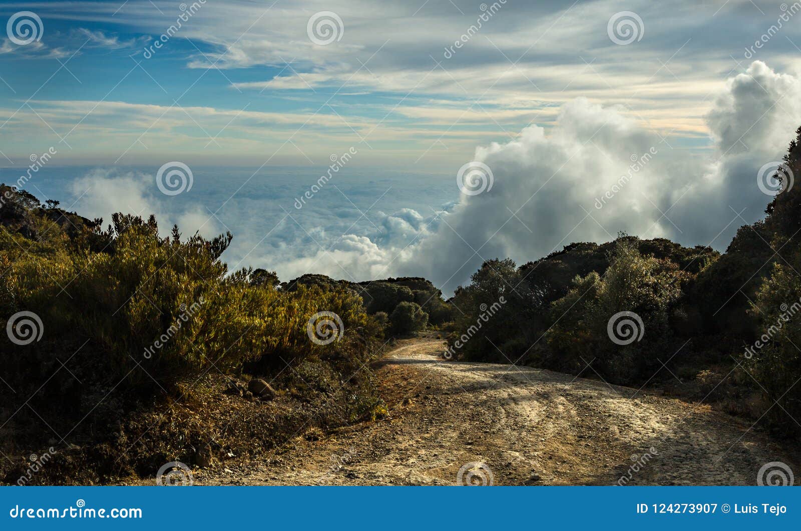 Un camino de tierra a las nubes fotografió en Cerro de la Muerte en Costa Rica