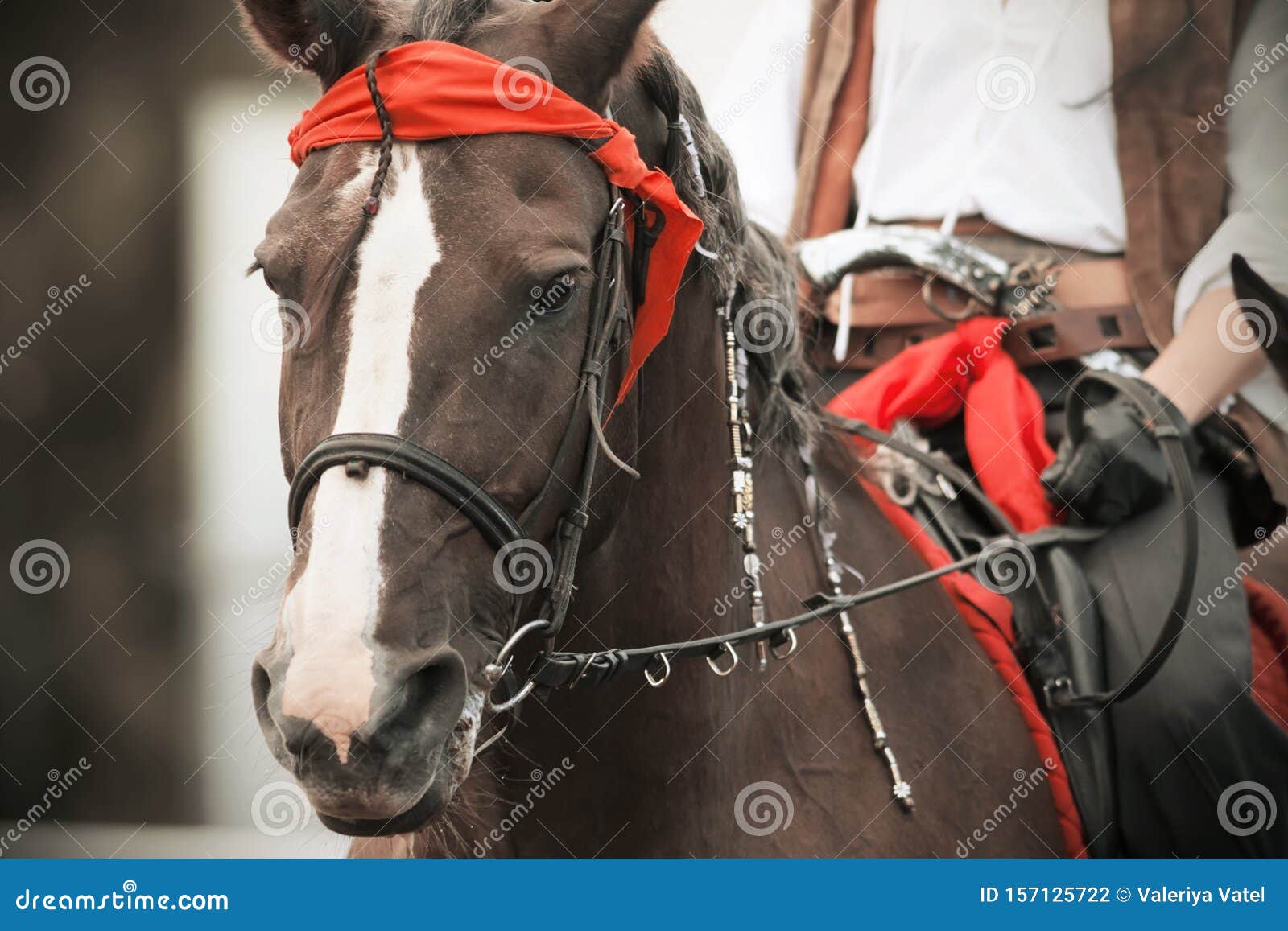 Un Cavallo Di Baia Con Un Cavaliere Vestito Da Pirati Dei Caraibi in Una  Mascherata Fotografia Stock - Immagine di festa, pistola: 157125722