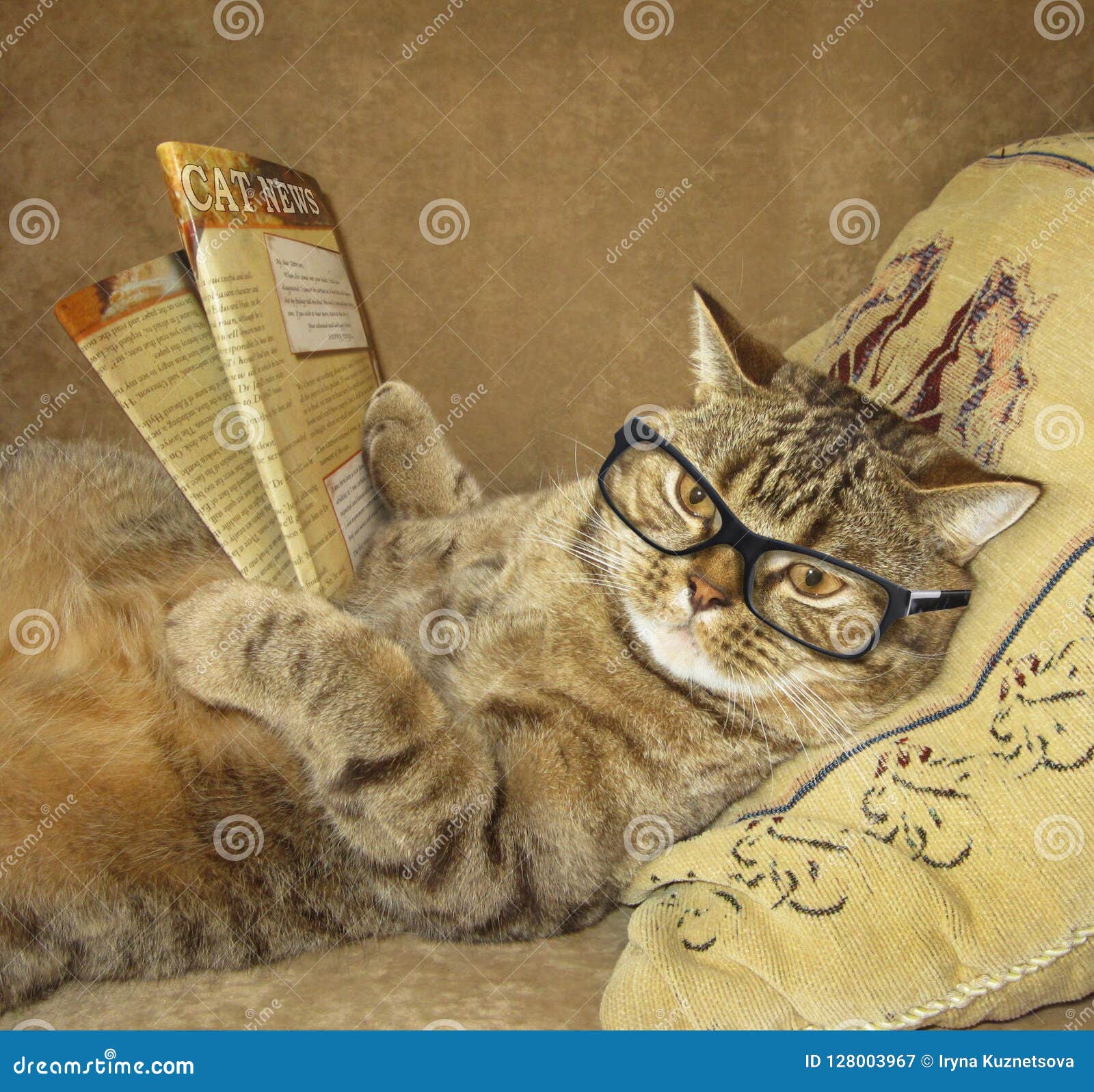 Un Chat Lit Un Journal Image Stock Image Du Sofa Directement Un Chat Lit Un Journal Image Stock Image Du Sofa Directement
