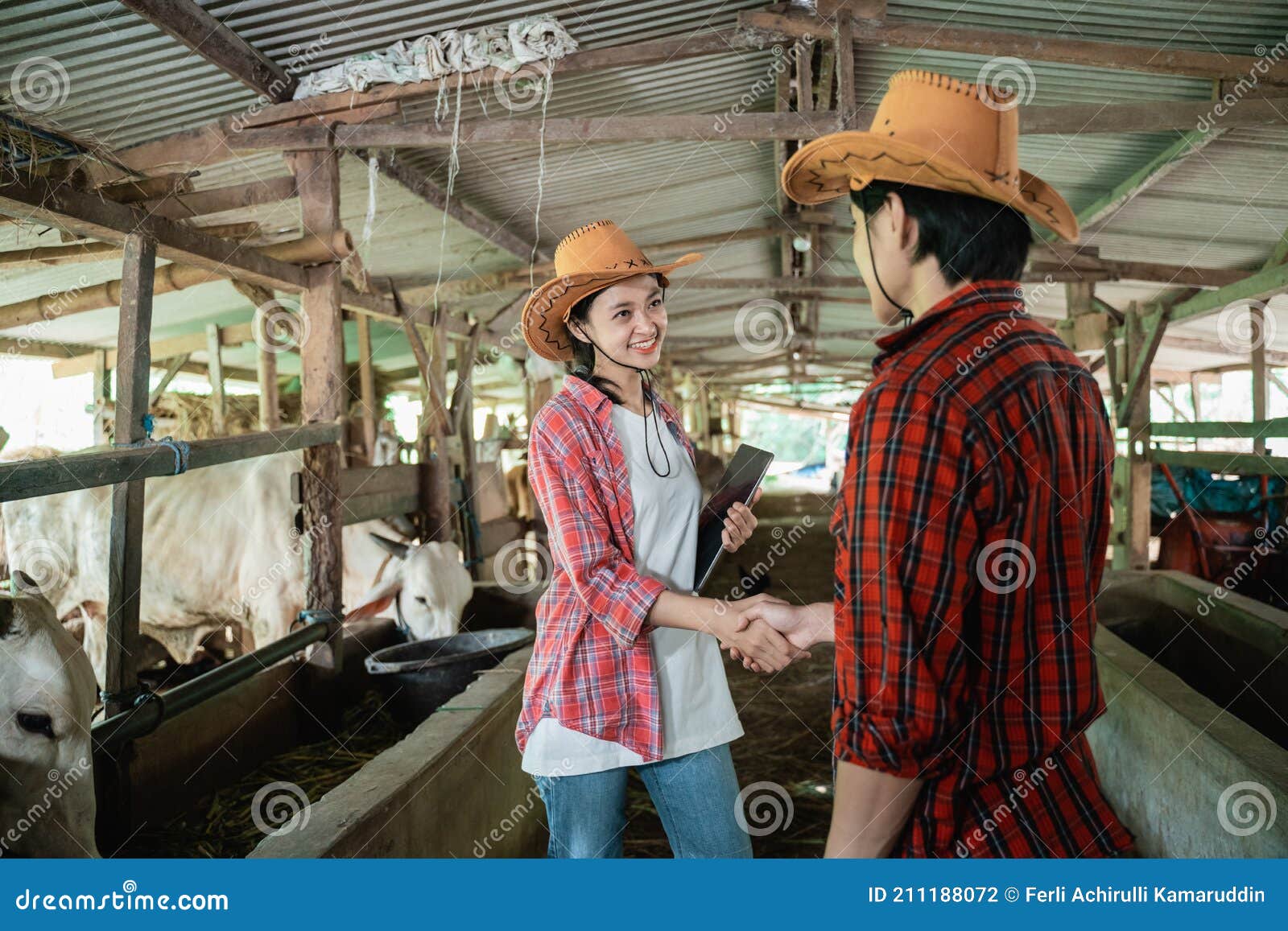 Chico vaquero new arrivals