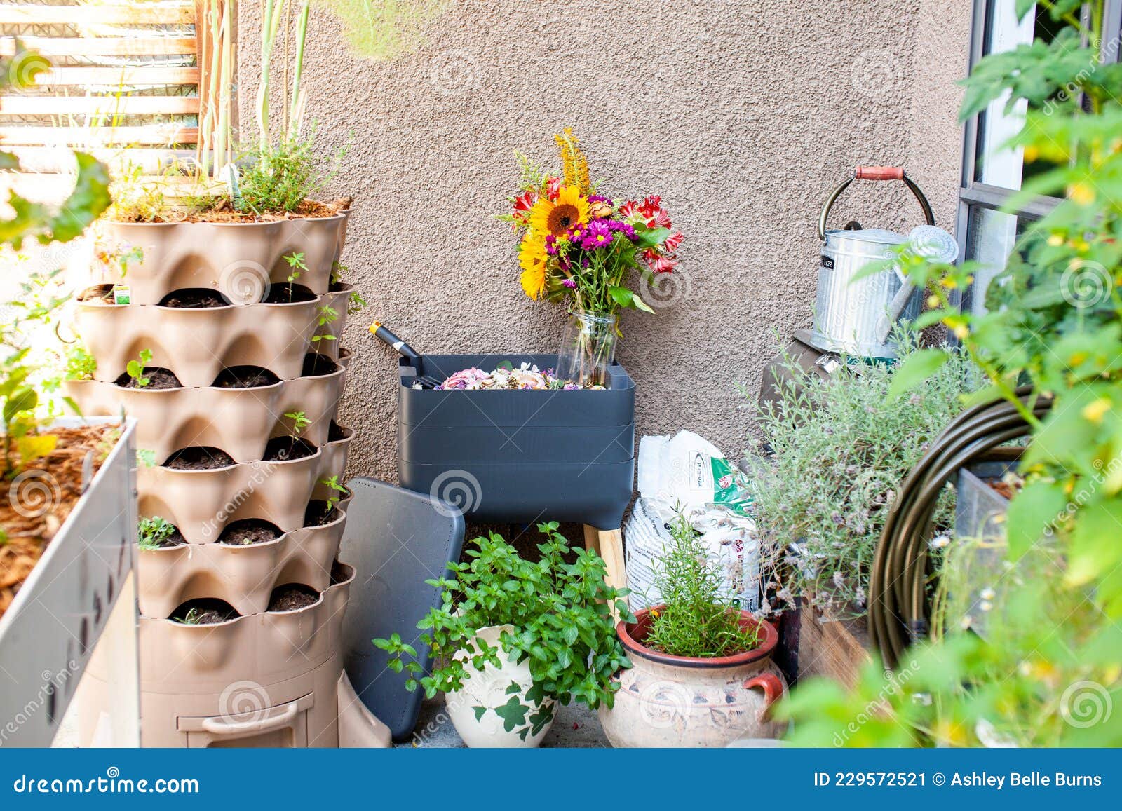 Un Composteur De Ver Du Système De Vermicompostage Est Assis Sur Un Balcon  Image stock - Image du verts, neuf: 229572521