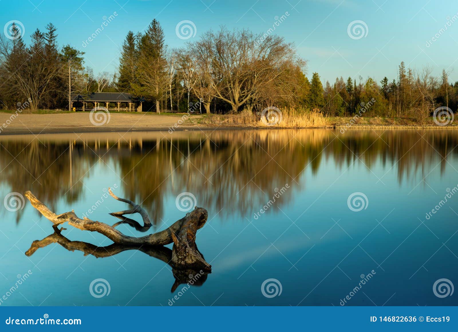Un Coucher Du Soleil Dor Dheure Sur Un Petit Lac Photo