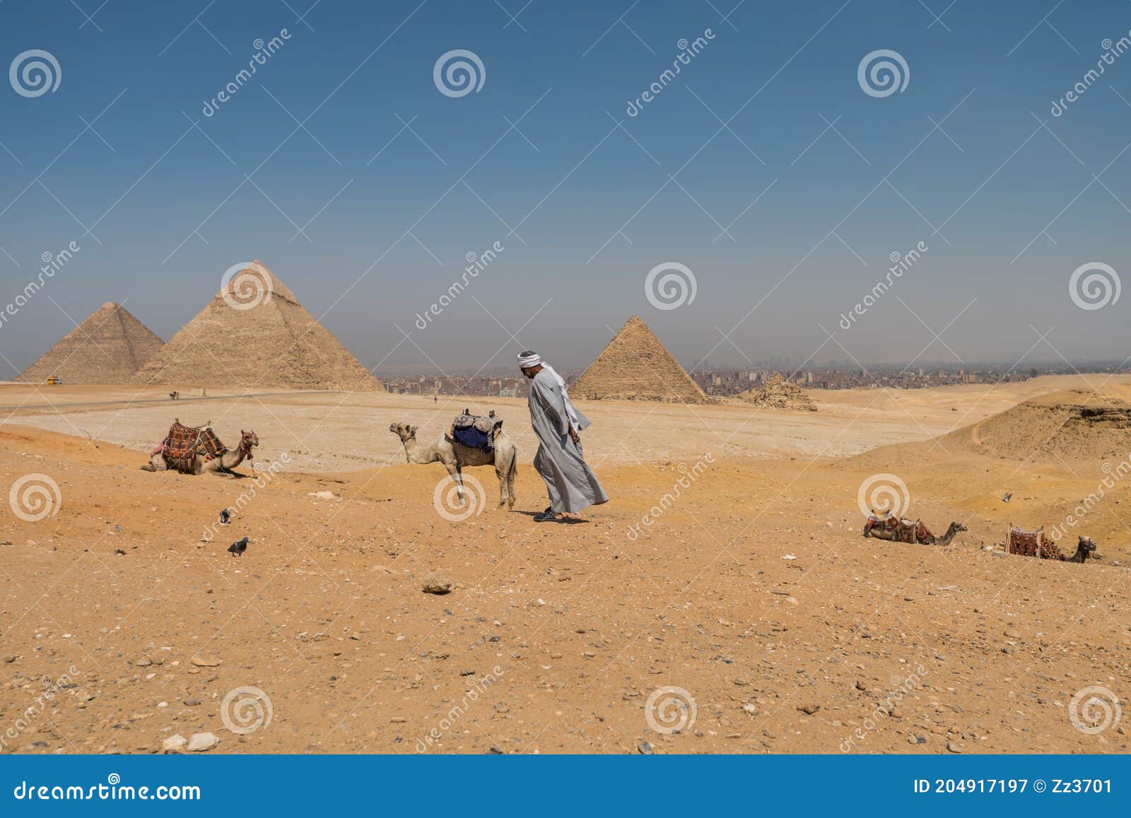 Un Egipcio Solitario Y Camellos En Complejo De La Pirámide De Giza Un Yacimiento Arqueológico En La Meseta Giza, En Las Afue Fotografía editorial - de persona, traje: 204917197
