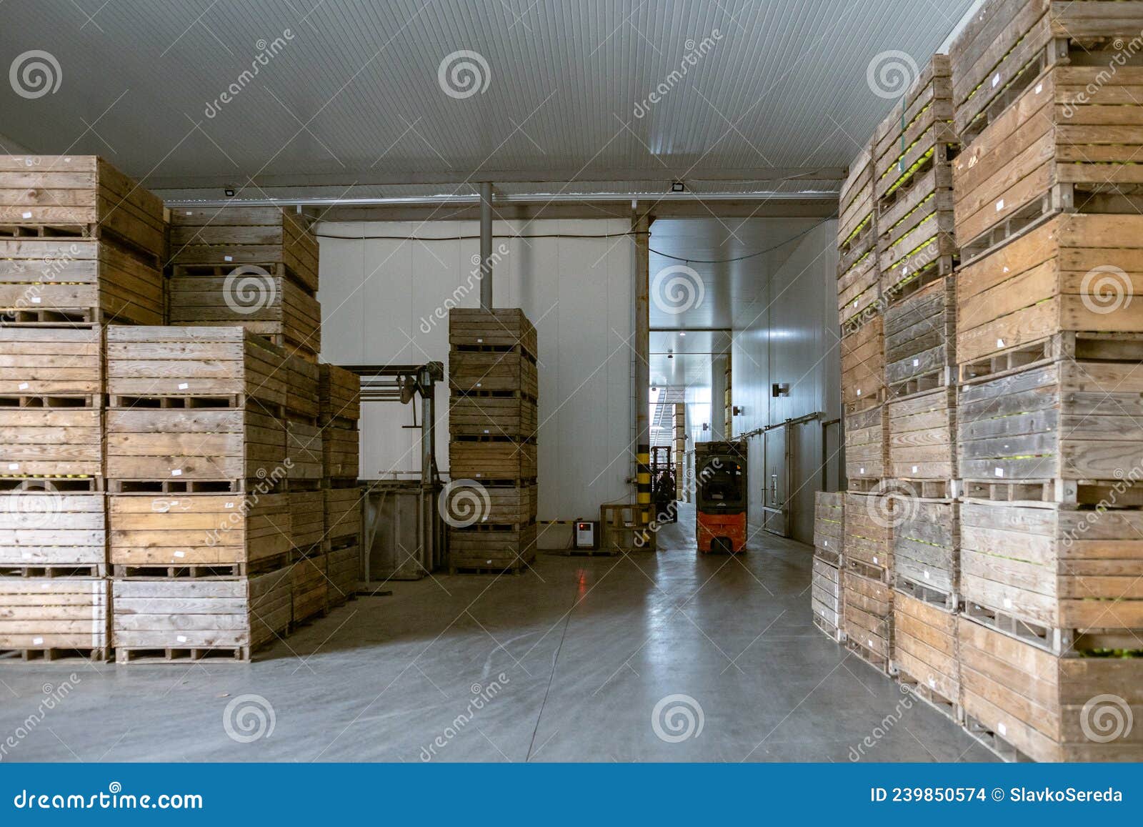 Un Frigo Rangement Sans Air Légumes Ou Fruits. Le Chariot élévateur  électrique Déplacer Le Conteneur. Installations De Production Photo stock -  Image du manuel, société: 239850574