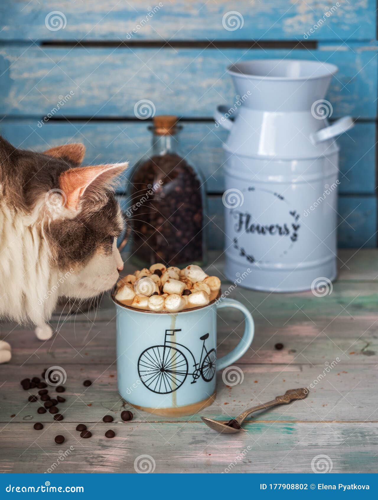 Un Gato Joven Y Fluffy Sabe a Mariscos Y Café Con Chocolate Sobre
