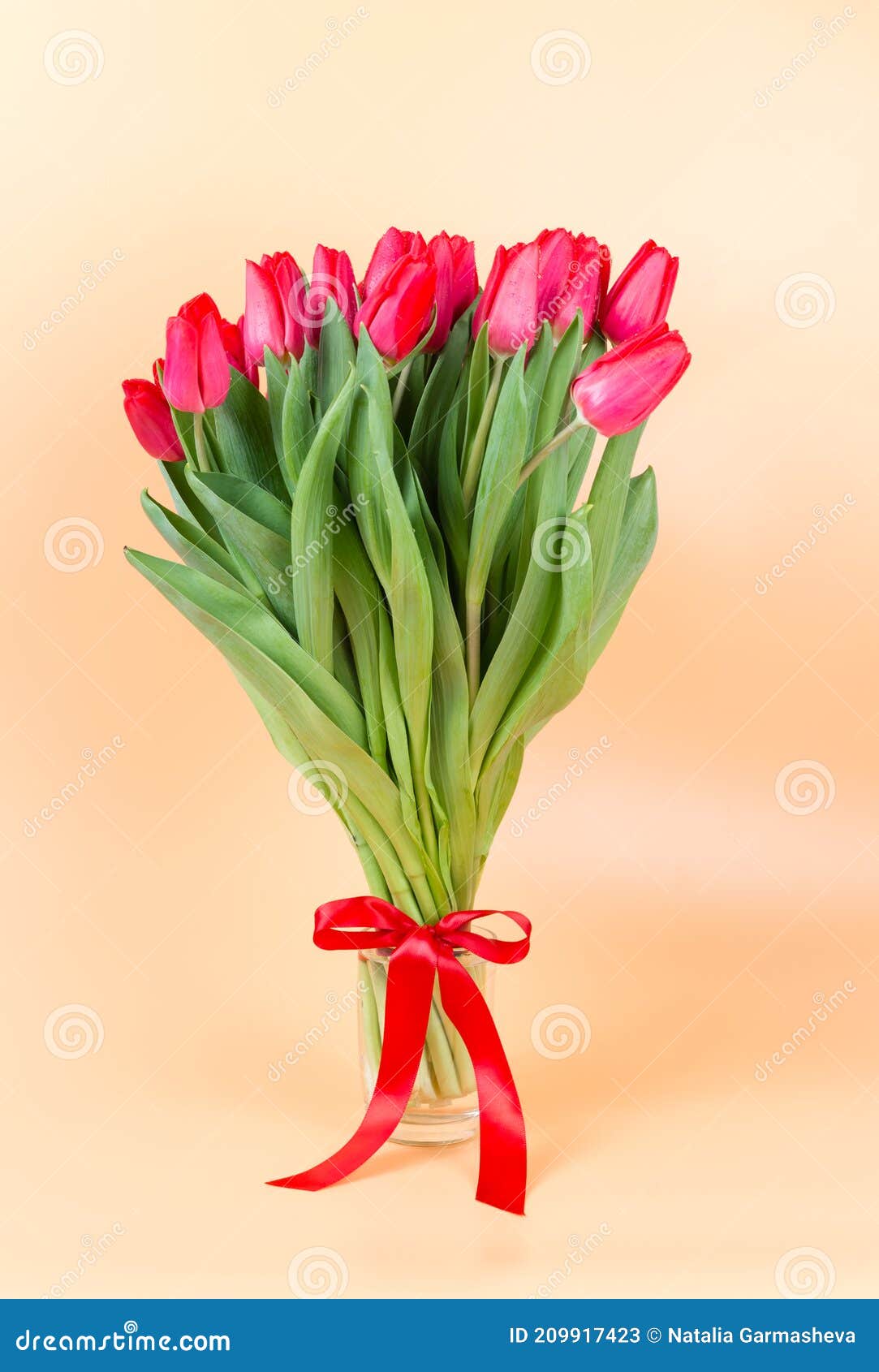 Un Gran Ramo De Tulipanes Rojos Con Flores De Primavera De Cinta Roja Para  Las Vacaciones Del 8 De Marzo O El Día De San Valentín Imagen de archivo -  Imagen de