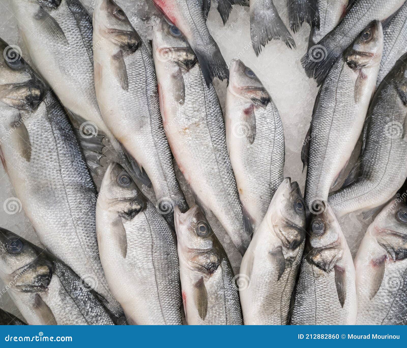 un groupe de poissons sur le marchÃÂ©