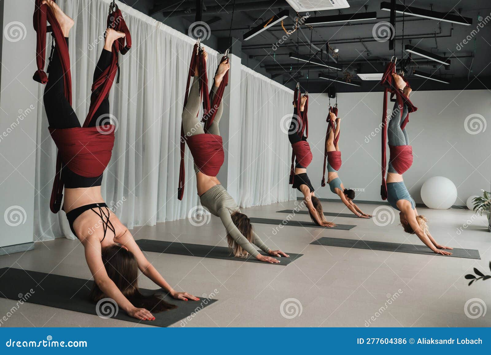 Un Grupo De Mujeres Colgando Boca Abajo Sobre Hamacas Colgantes. Yoga En El Gimnasio Foto de archivo - Imagen de estiramiento, equilibrio: 277604386