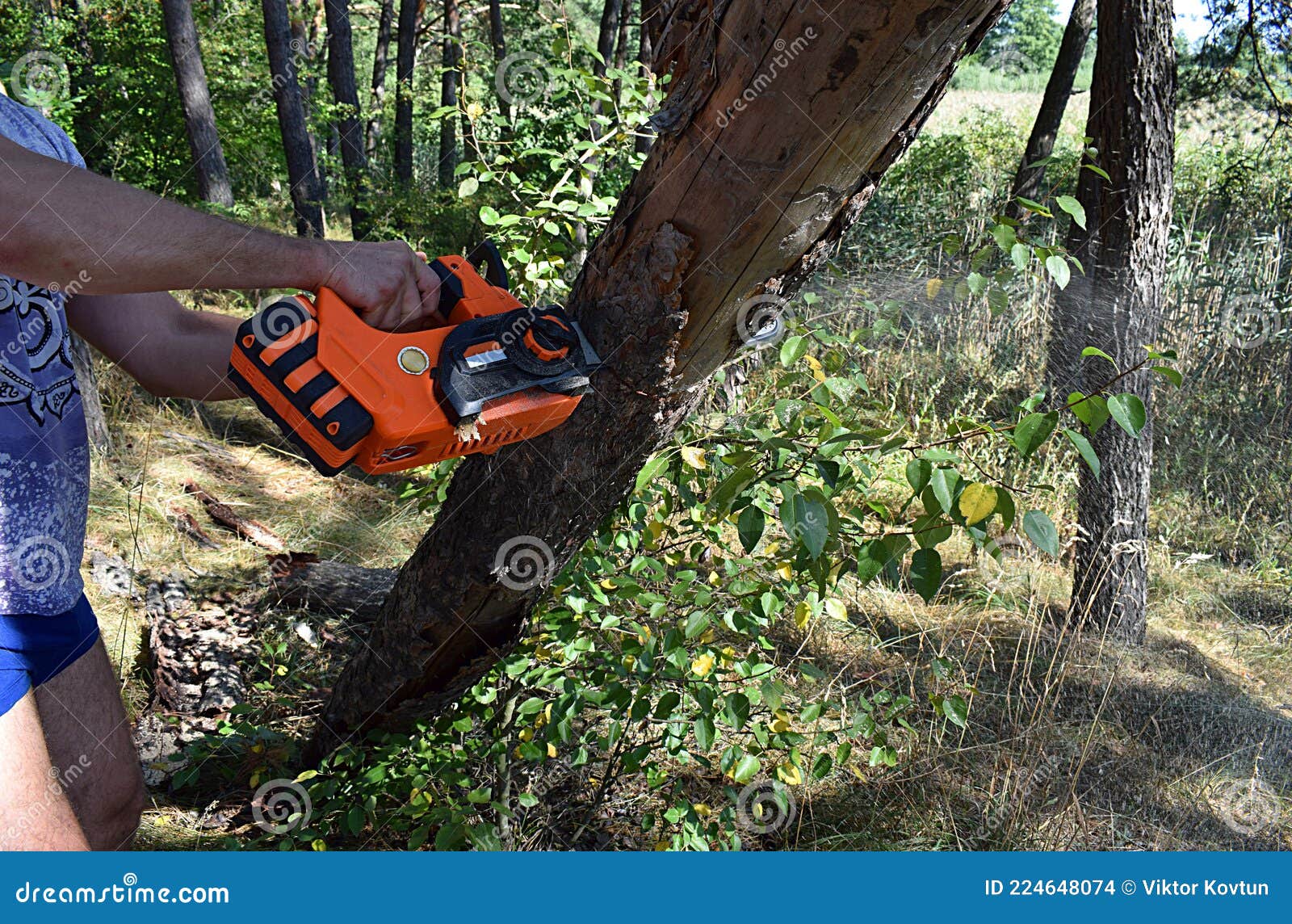 Un Hombre Corta Un árbol Seco Con Una Sierra Eléctrica a Batería Foto de  archivo - Imagen de sostenido, manual: 224648074