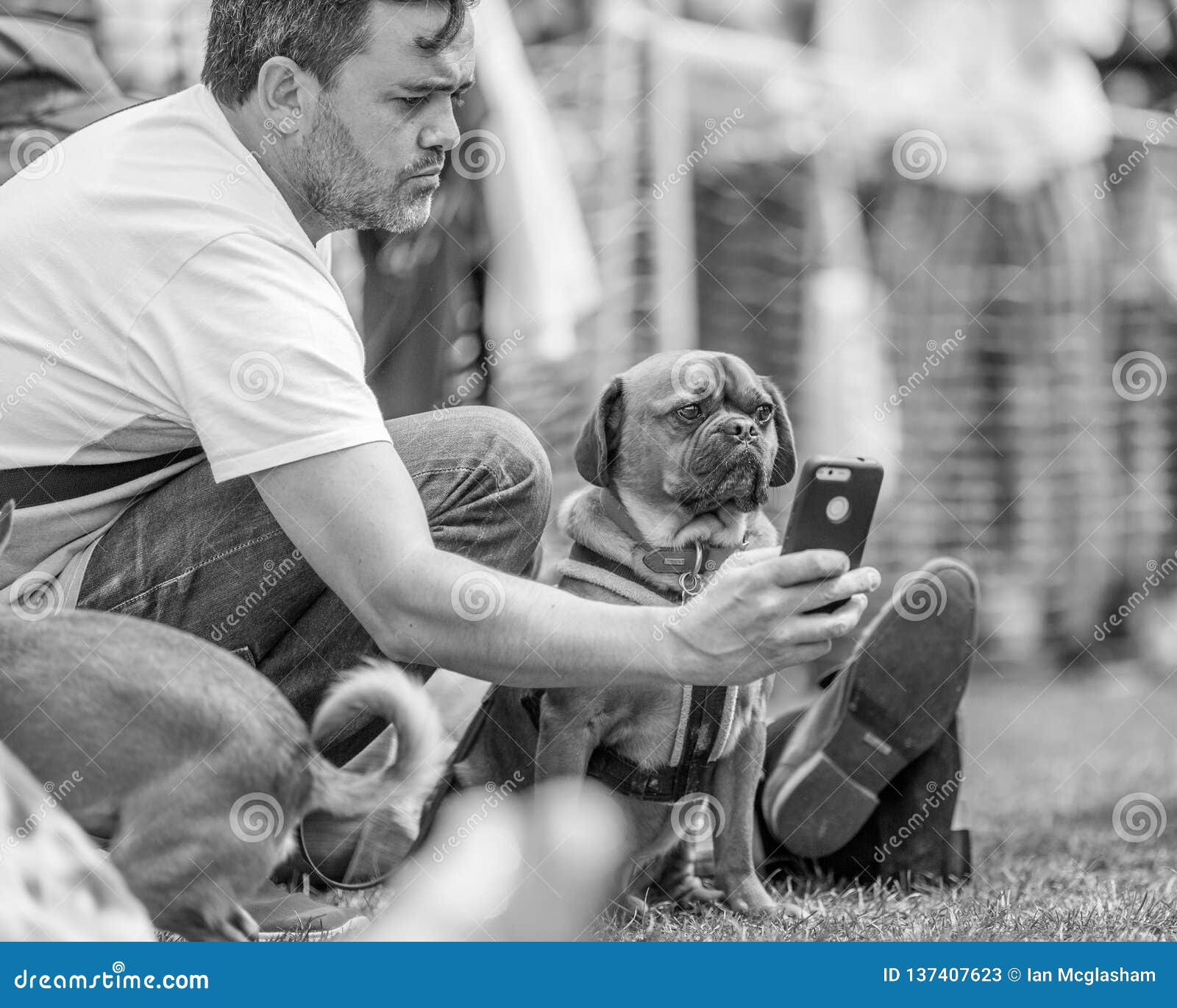 Un hombre que toma un selfie con un perro en el parque en una exposición canina Adopt no hace compras verano soleado feliz Sonrisa