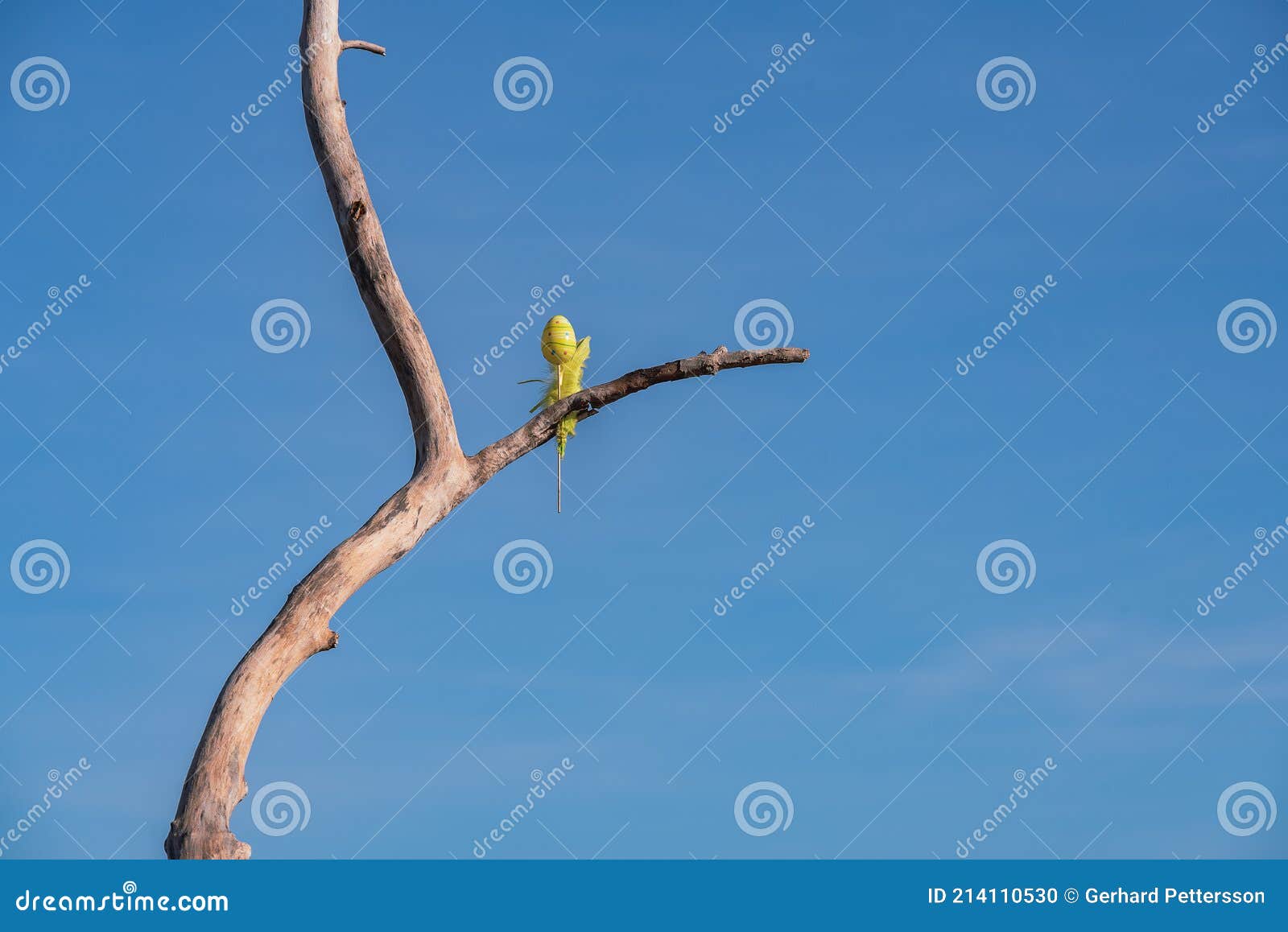 Impedir té victoria Un Huevo Solitario De Pascua Está Atascado En Un árbol Viejo Foto de  archivo - Imagen de cielo, hermoso: 214110530