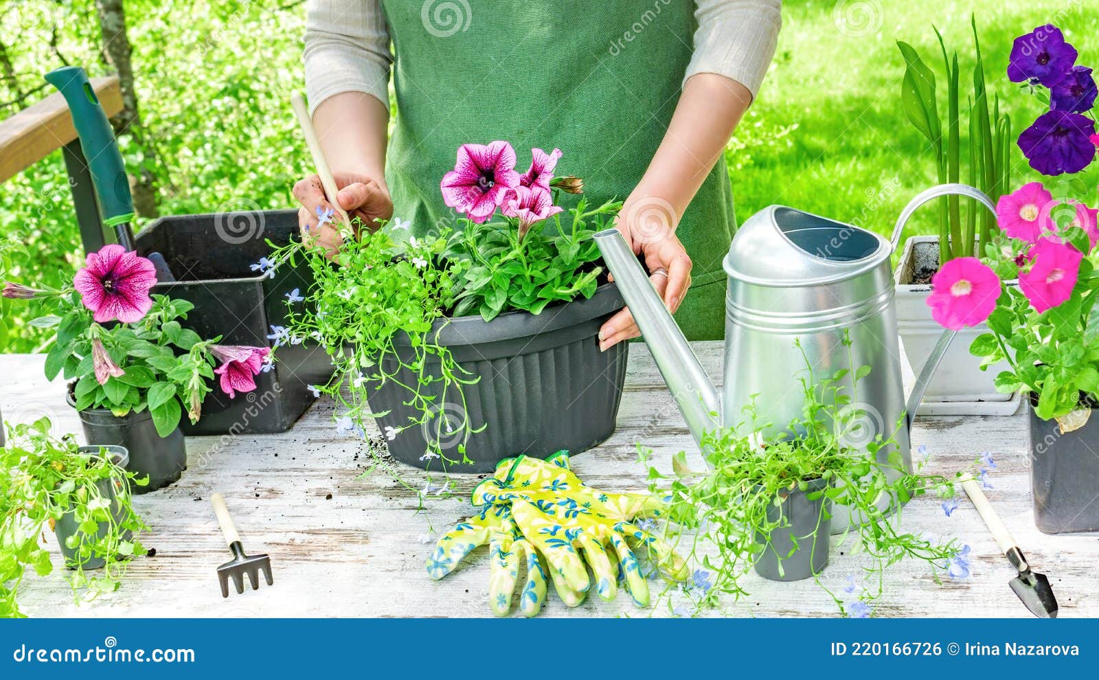 Portrait De Jardinage Femme Âgée Dans Le Jardin Sur Une Journée