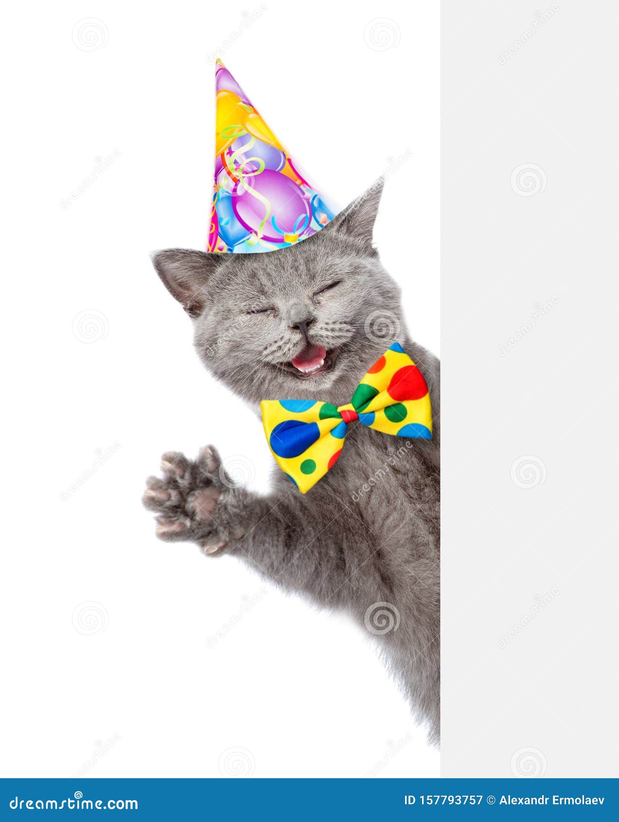 2 797 Chat De Joyeux Anniversaire Photos Libres De Droits Et Gratuites De Dreamstime 2 797 Chat De Joyeux Anniversaire Photos Libres De Droits Et Gratuites De Dreamstime