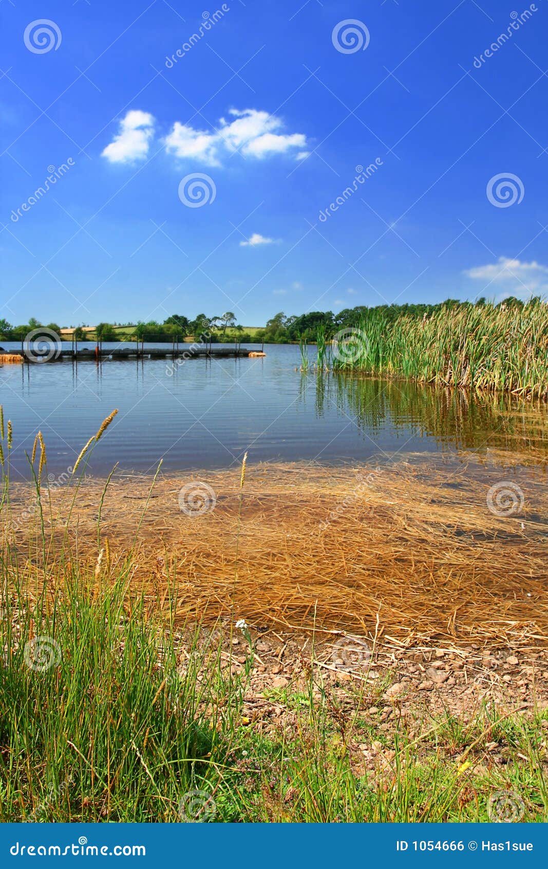 Un lago inglés foto de archivo. Imagen de farmland, tranquilidad 1054666