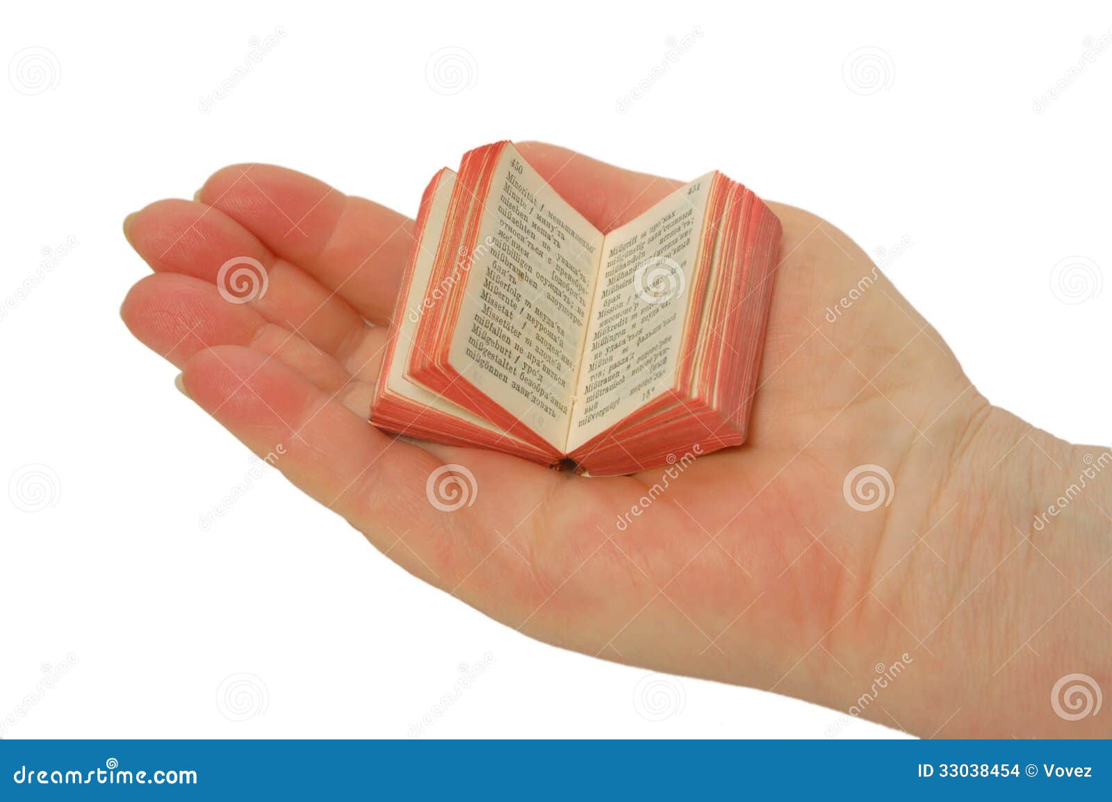 Un Livre Miniature Sur La Paume Photo stock - Image du russe