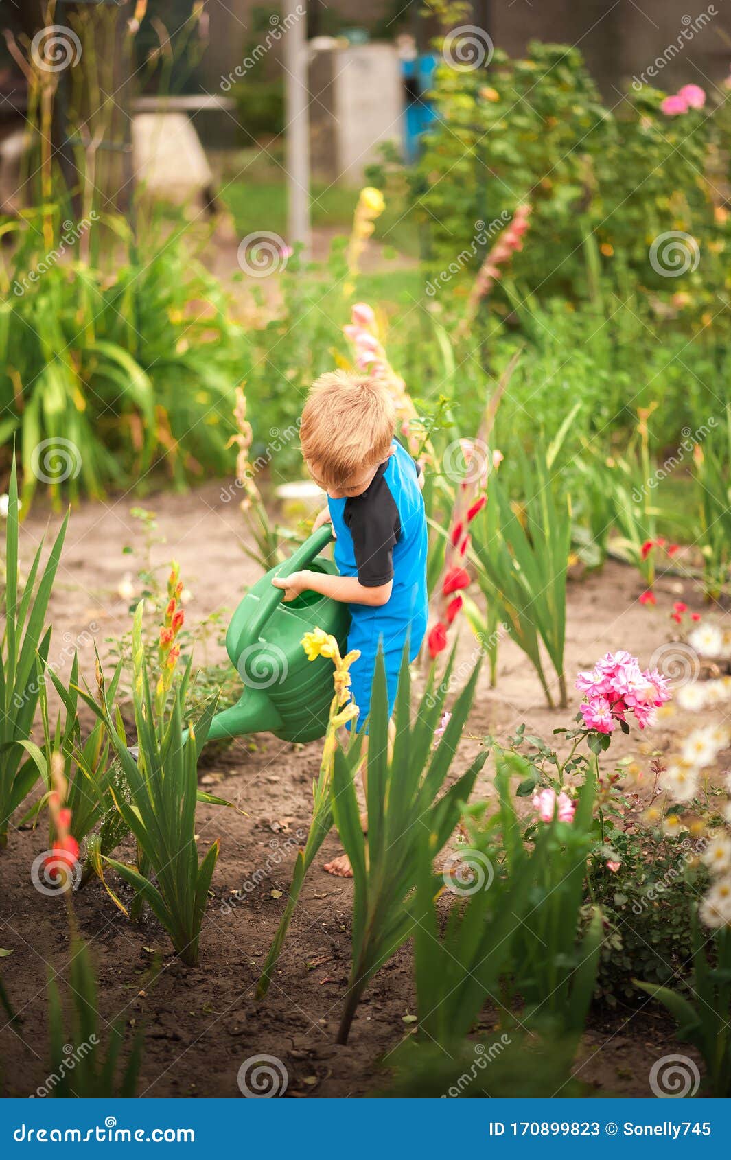 Un Niño Regando Flores Y Un Huerto Con Una Lata De Riego El Niño Ayuda Con El Jardín De Verano Juegos Infantiles Con Wat Imagen de archivo - Imagen de persona, jardinero: Un Niño Regando Flores Y Un Huerto Con Una Lata De Riego El Niño Ayuda Con El Jardín De Verano Juegos Infantiles Con Wat Imagen de archivo - Imagen de persona, jardinero: