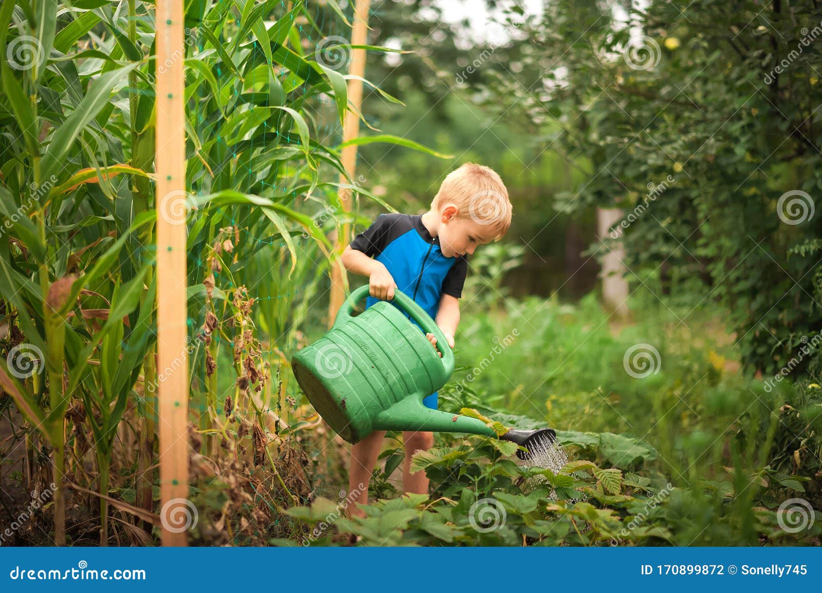 Un Niño Regando Flores Y Un Huerto Con Una Lata De Riego El Niño Ayuda Con El Jardín De Verano Juegos Infantiles Con Wat Foto de archivo - Imagen de cubo, muchacho: Un Niño Regando Flores Y Un Huerto Con Una Lata De Riego El Niño Ayuda Con El Jardín De Verano Juegos Infantiles Con Wat Foto de archivo - Imagen de cubo, muchacho:
