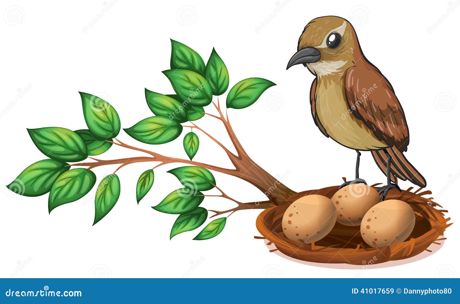 Un Oiseau à La Branche Dun Arbre Observant Le Nid