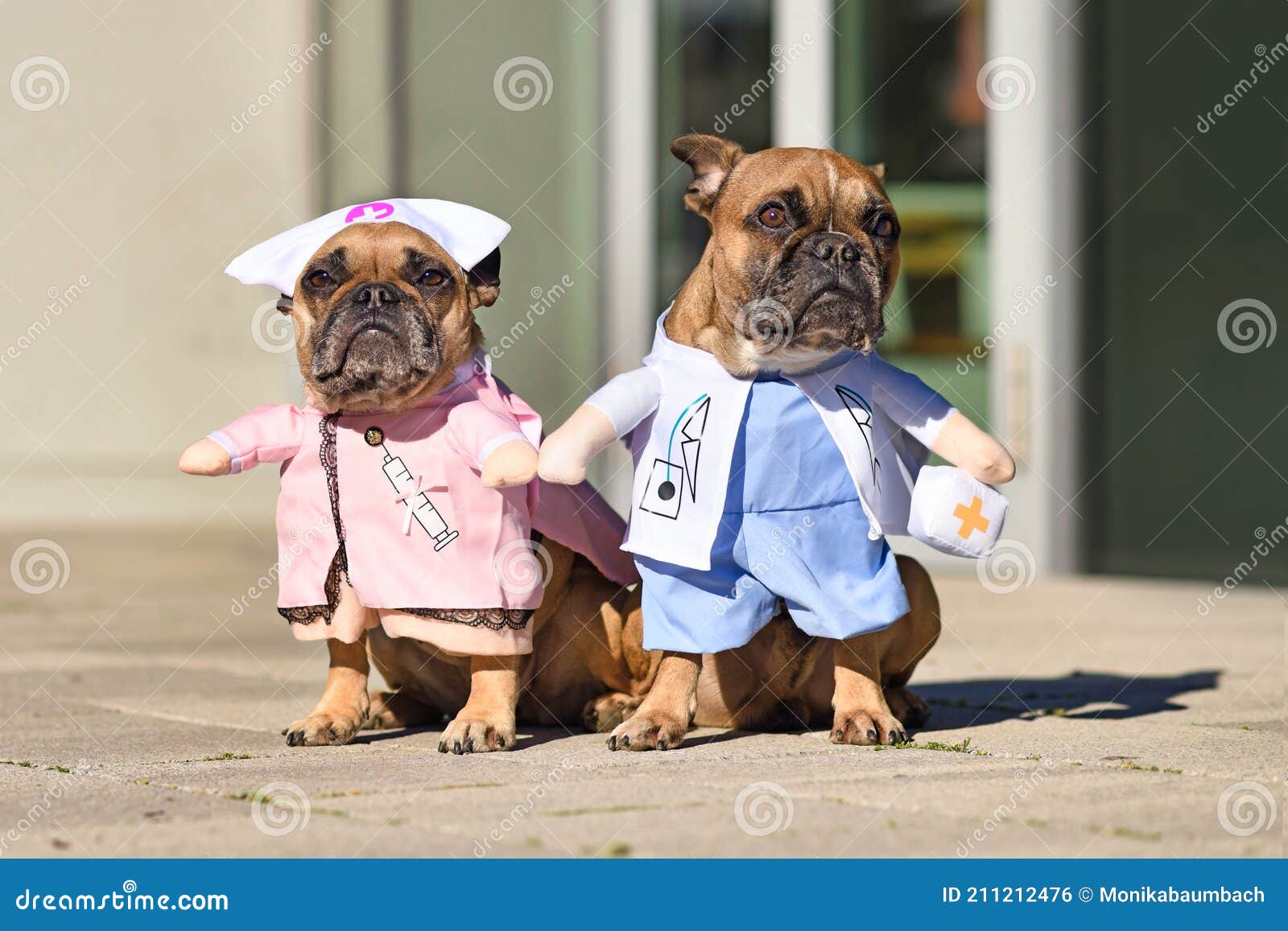 Están deprimidos fábrica en casa Un Par De Perros Bulldog Franceses Disfrazados De Médico Y Enfermera Foto de archivo - Imagen de ayudante, mascota: 211212476 Están deprimidos fábrica en casa Un Par De Perros Bulldog Franceses Disfrazados De Médico Y Enfermera Foto de archivo - Imagen de ayudante, mascota: 211212476
