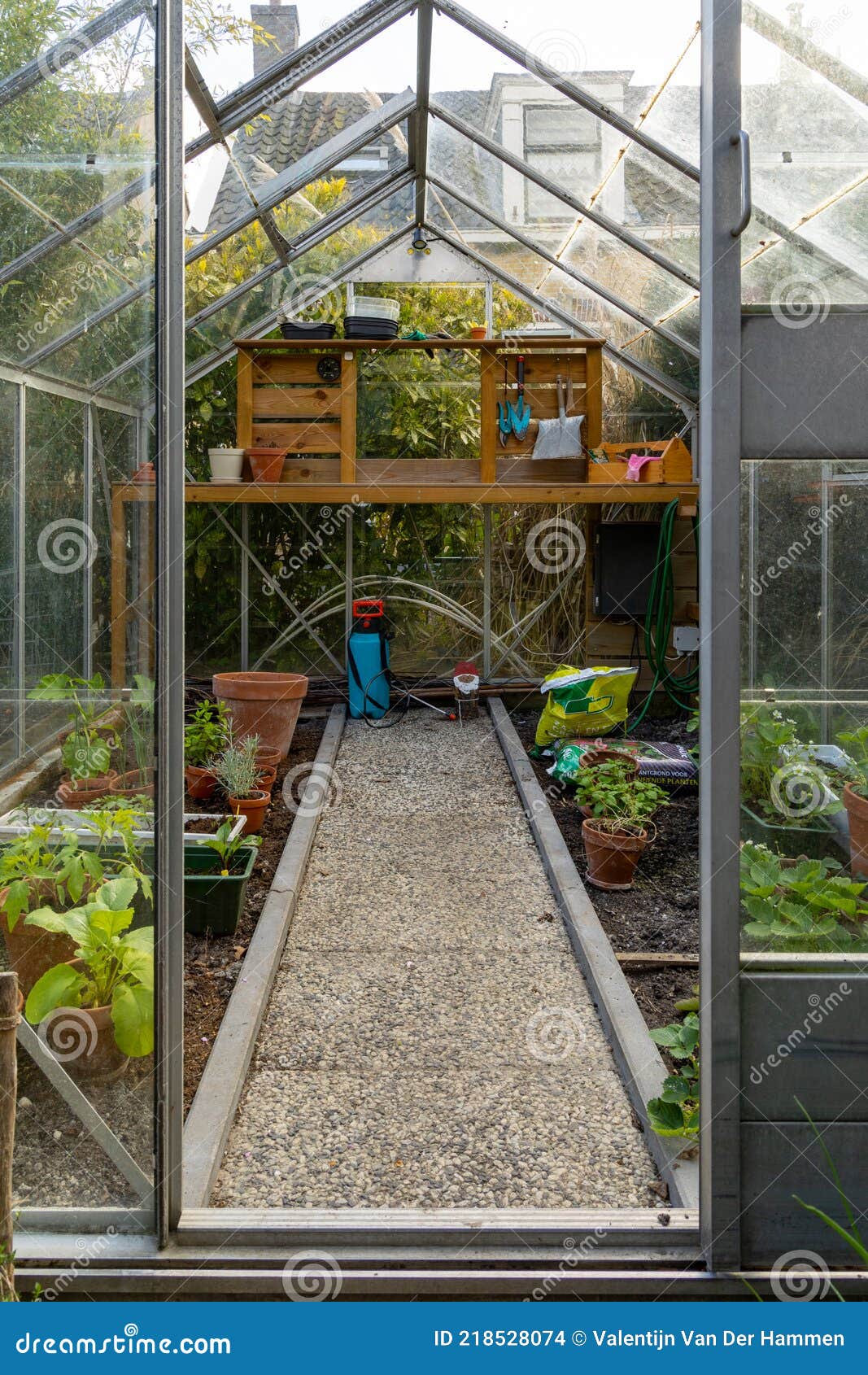Un Pequeño Invernadero En El Típico Jardín Holandés Con Plantas De