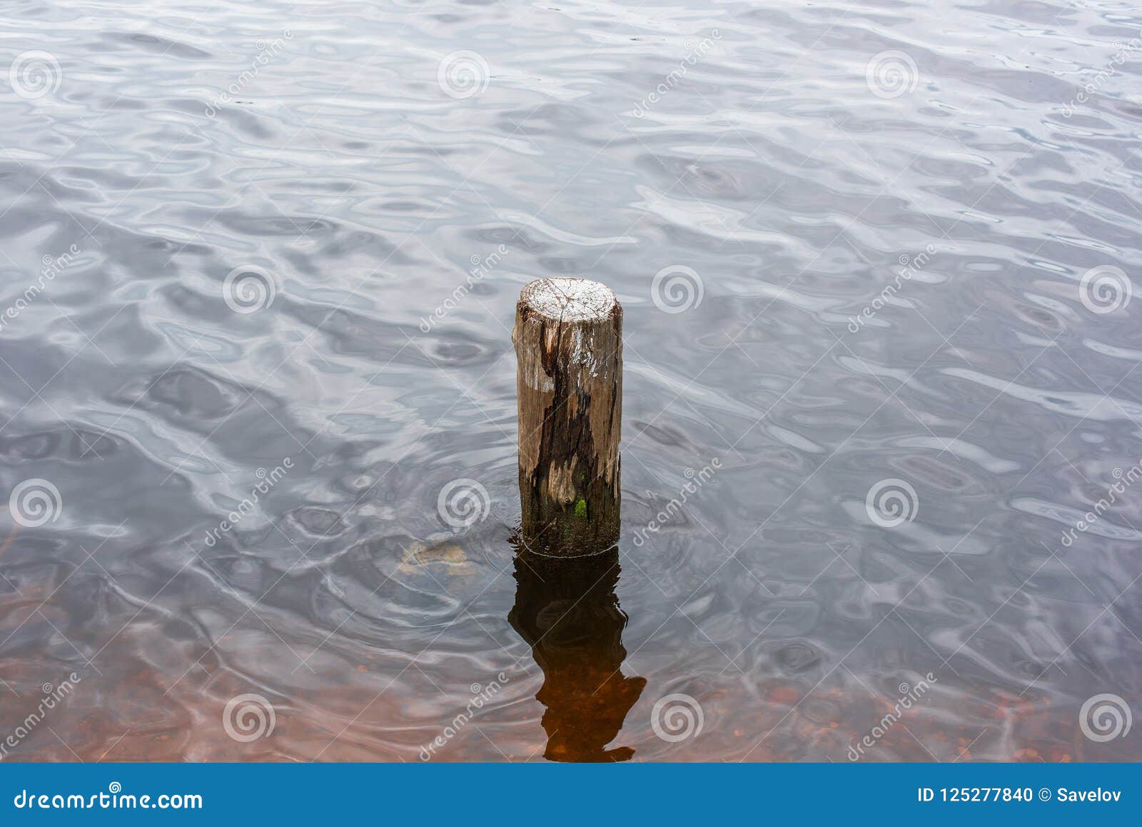 Un Pilar De Madera En El Agua Foto de archivo - Imagen de pilar, calma ...