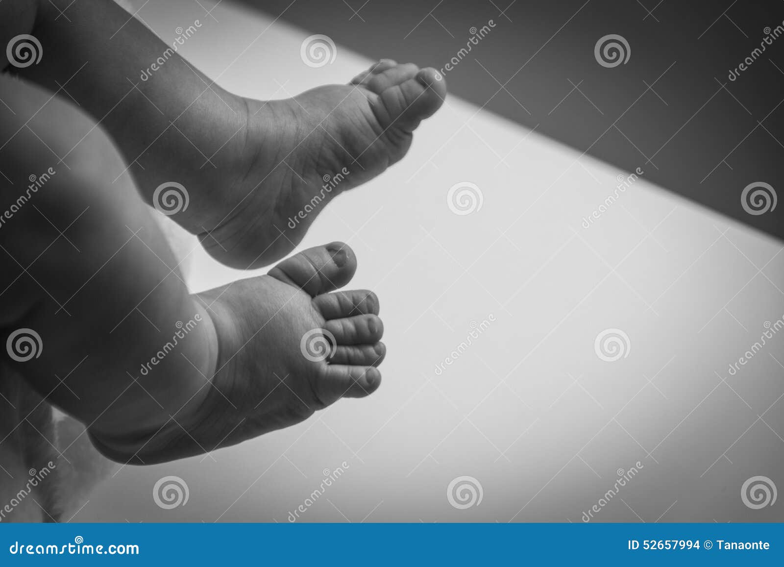 Un Plan Rapproche Des Pieds Minuscules De Bebe En Noir Et Blanc Photo Stock Image Du Adorable Humain Un Plan Rapproche Des Pieds Minuscules De Bebe En Noir Et Blanc Photo Stock Image Du Adorable Humain