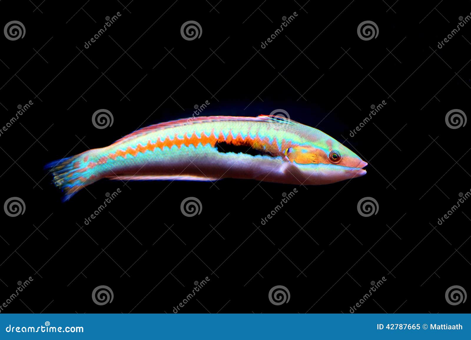 La rivière keret la pêche