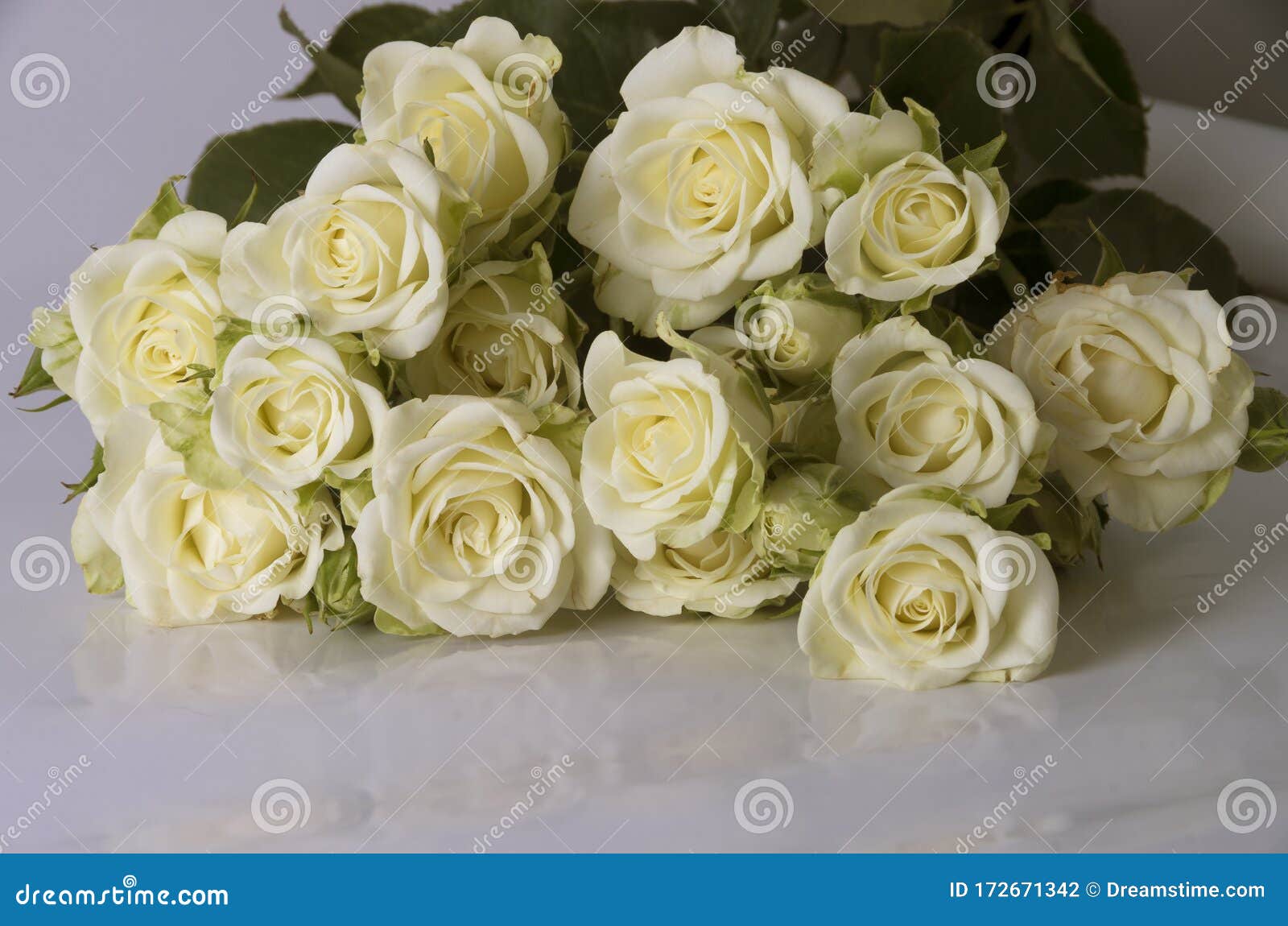 Un Ramo De Rosas Blancas Sobre Un Fondo Blanco Foto de archivo - Imagen de  belleza, pétalo: 172671342