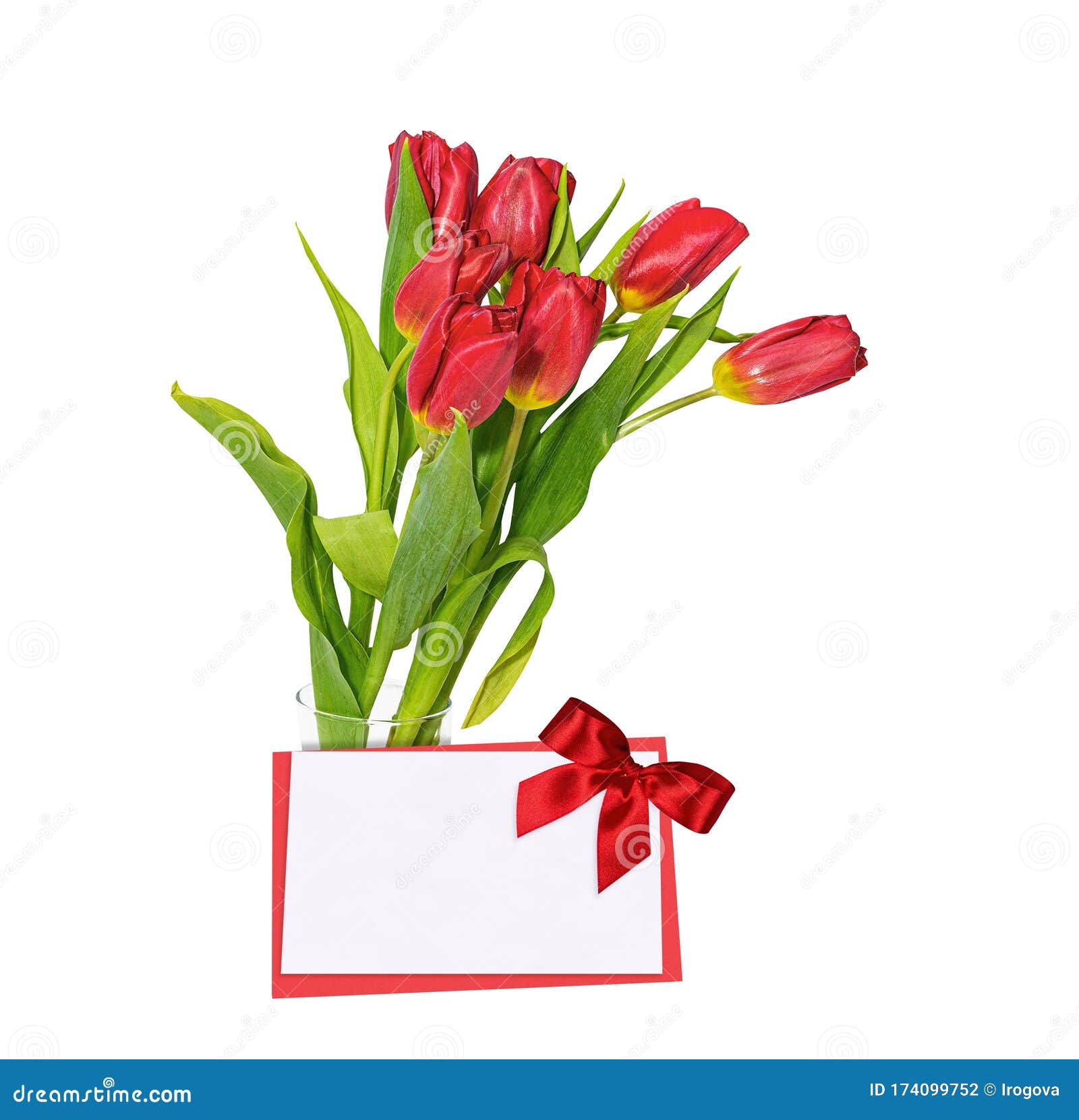 Un Ramo De Tulipanes Rojos Y Una Postal Foto de archivo - Imagen de  hermoso, saludo: 174099752