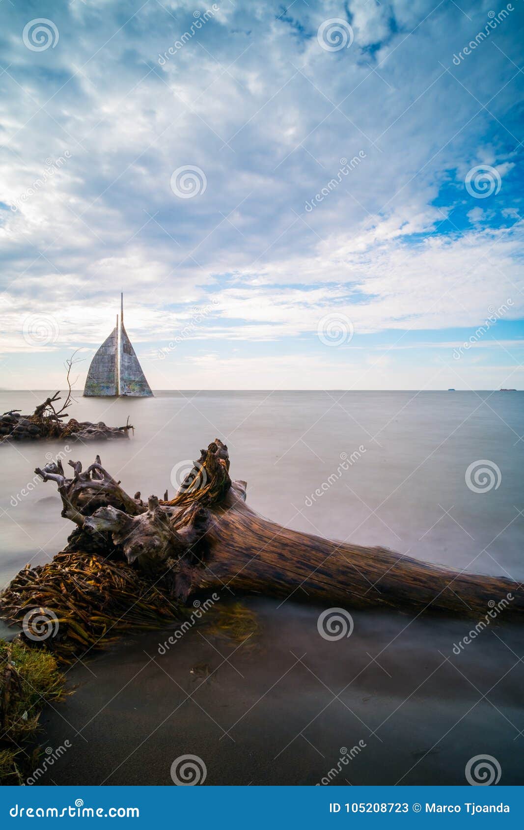 Un Registro Que Es Trenzado En La Playa Imagen De Archivo Imagen De