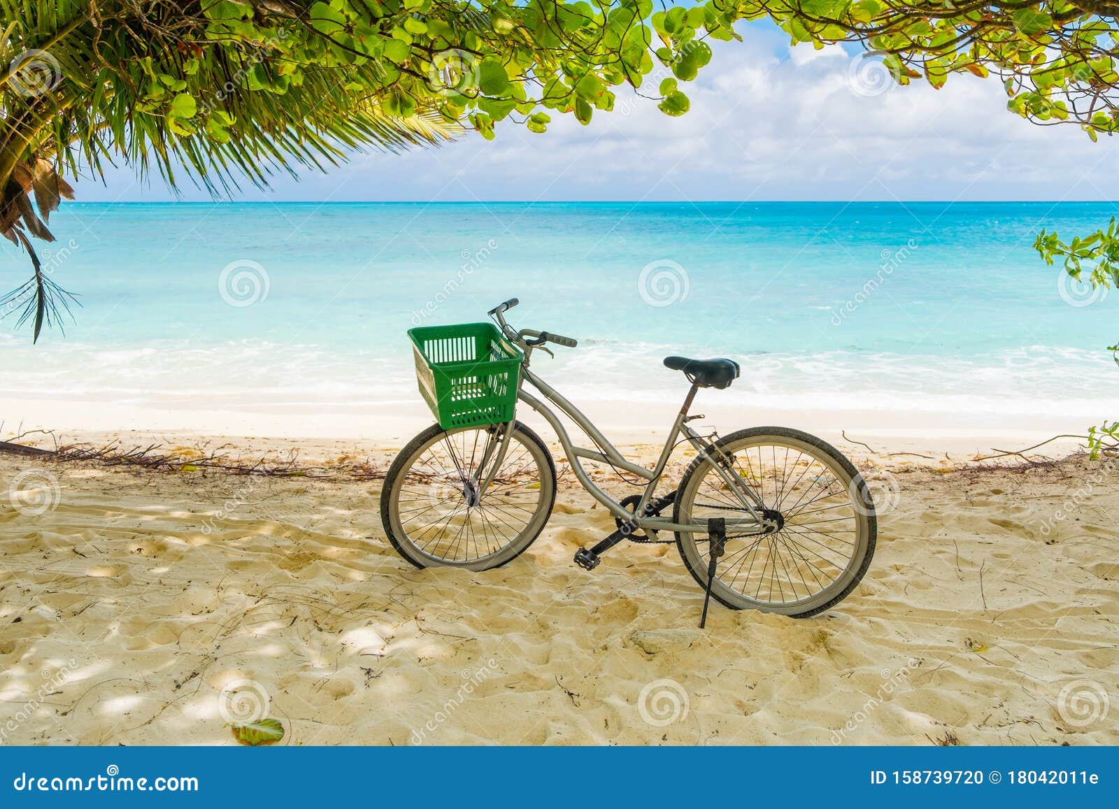 bicicletta chrisson sandy
