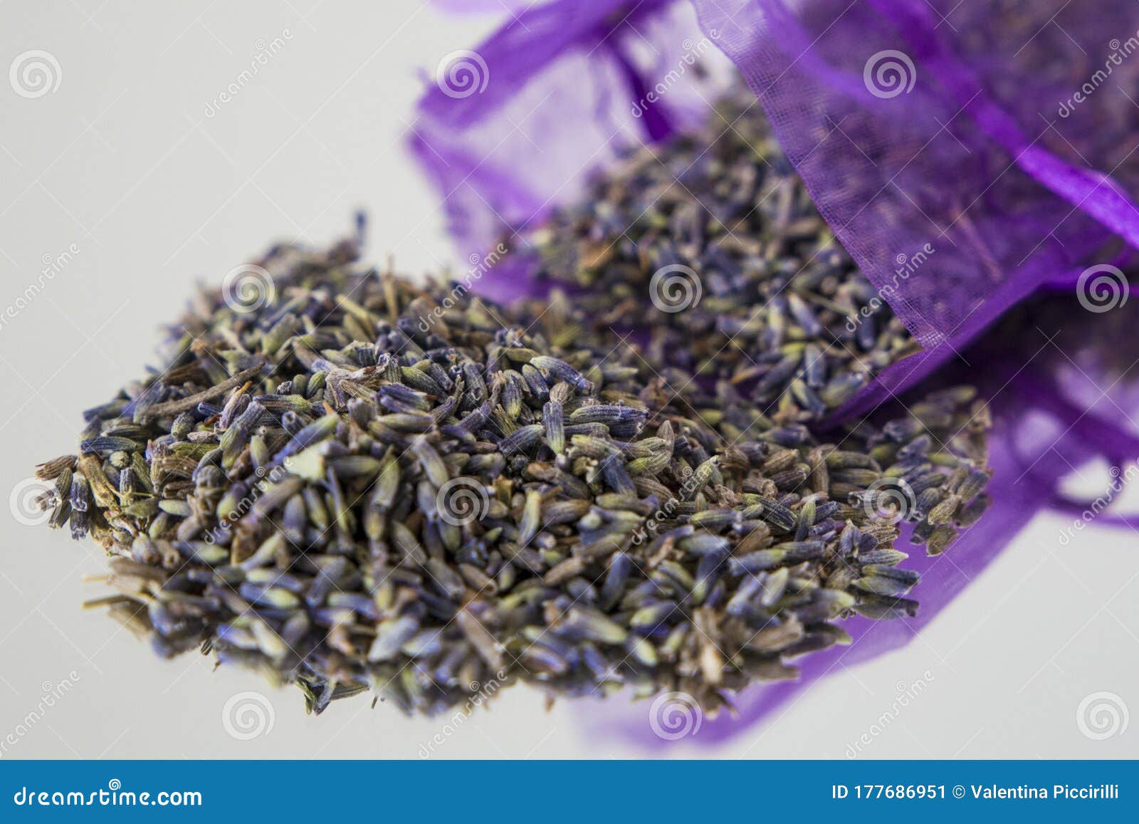 Una Bolsa De Semillas De Lavanda Imagen de archivo - Imagen de secado,  espejo: 177686951