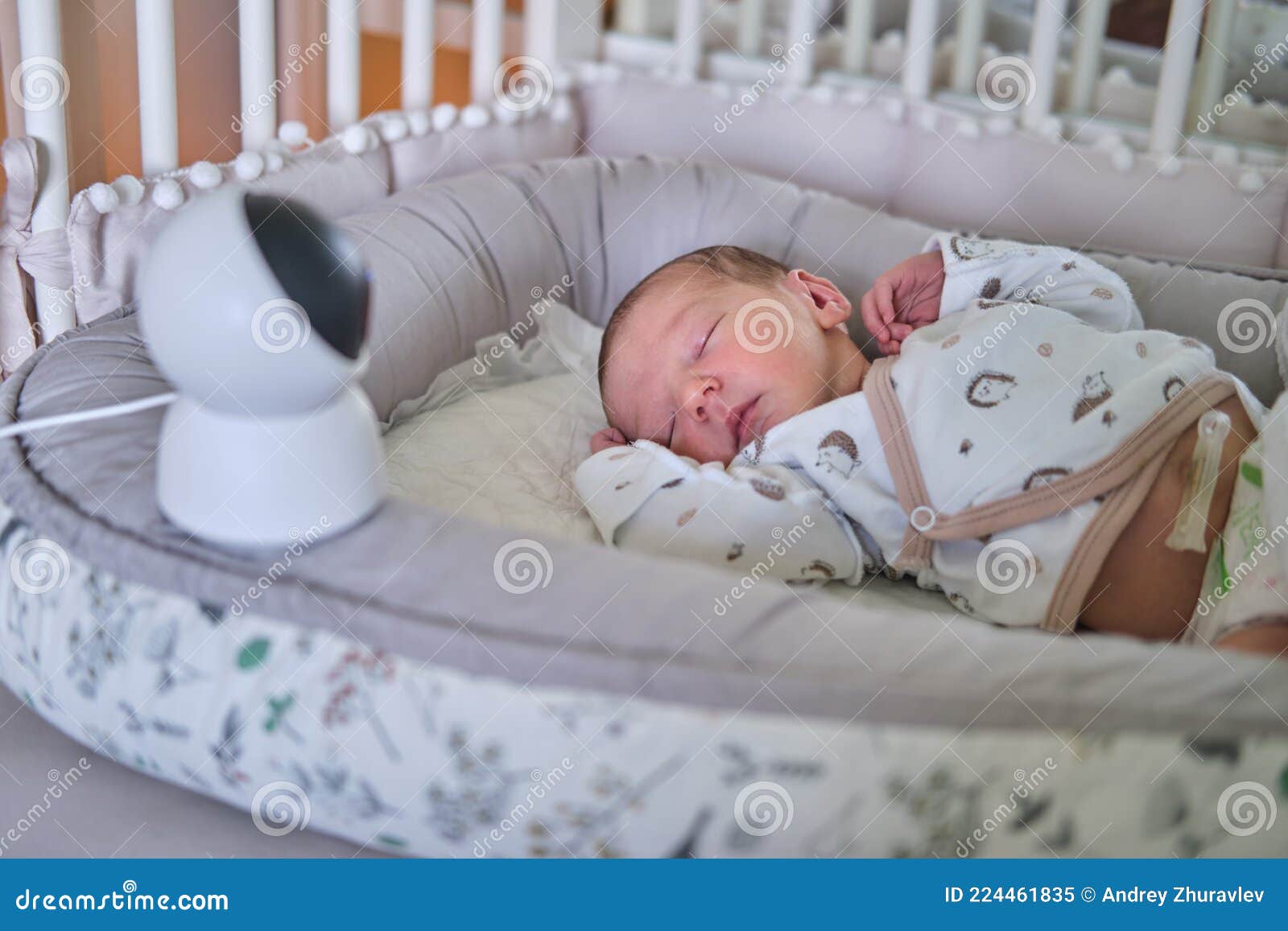 Una Cámara De Vigilancia En El Hogar Mira a La Cuna Con Un Bebé Recién  Nacido Que Duerme Imagen de archivo - Imagen de interior, alejado: 224461835