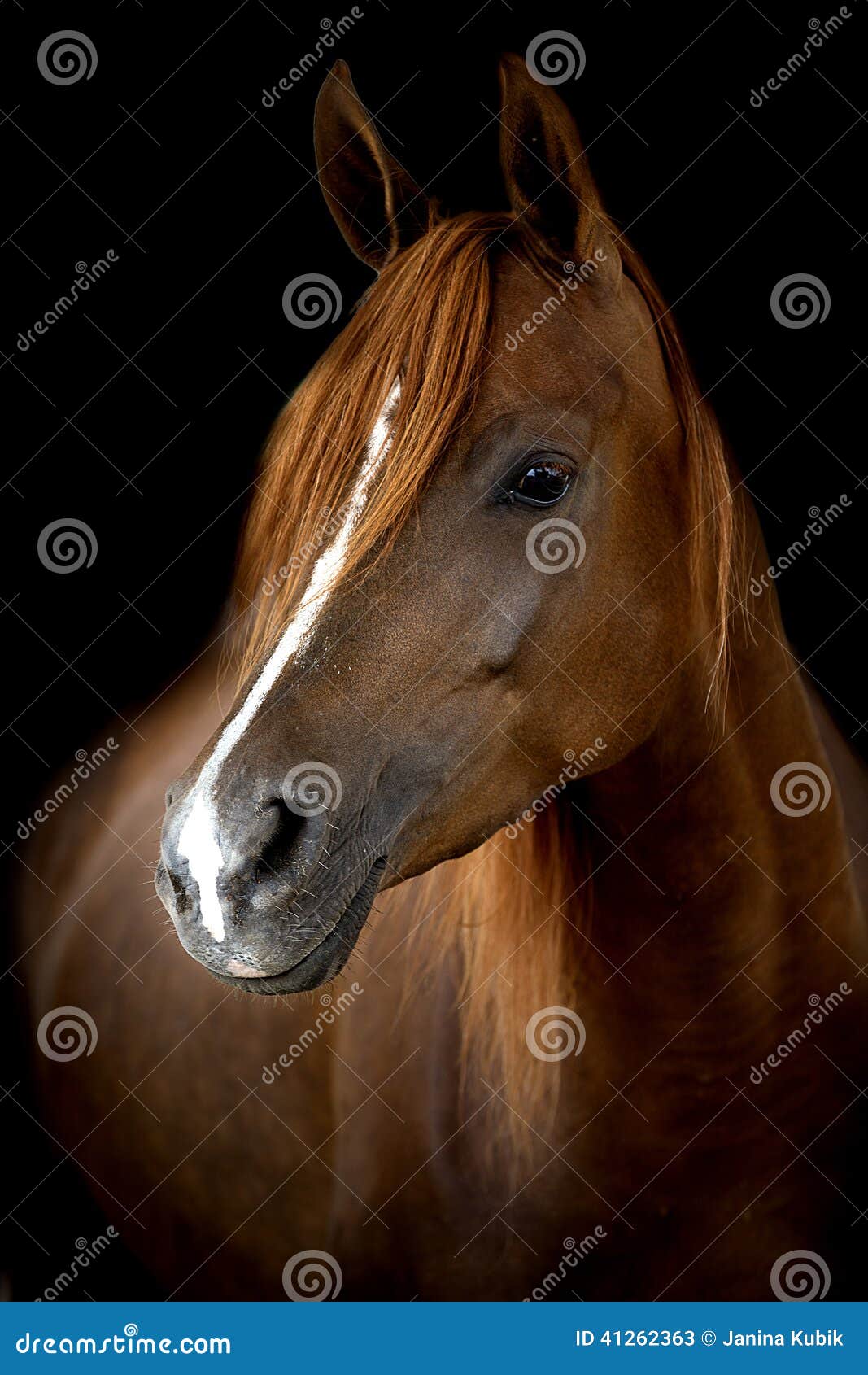 Cavalo Branco E Rainha Preta Xadrez De Harry Potter Filme Sobre O Santo  Petersburgo Russo Junho De 2021 Fotografia Editorial - Imagem de  estratégia, rainha: 220534567