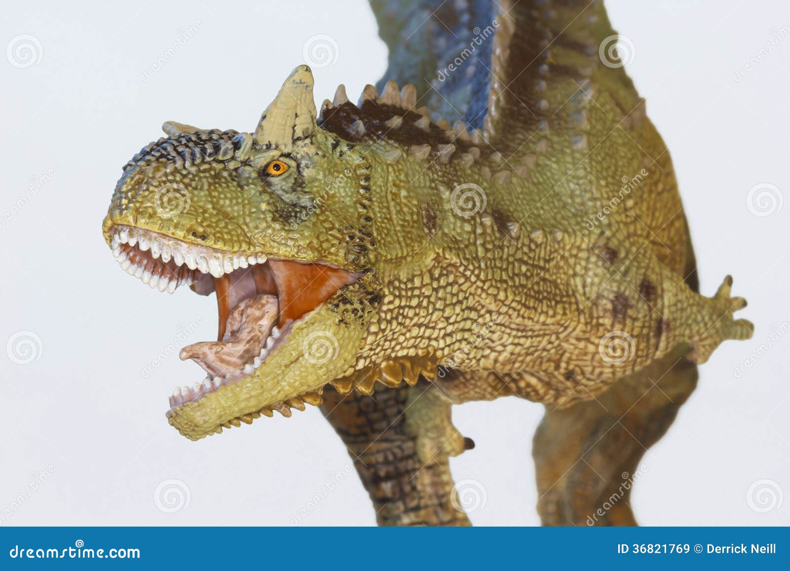 Una Carne Que Come El Dinosaurio Del Carnotaurus, Bull Carnívora Imagen de  archivo - Imagen de boca, reptil: 36821769