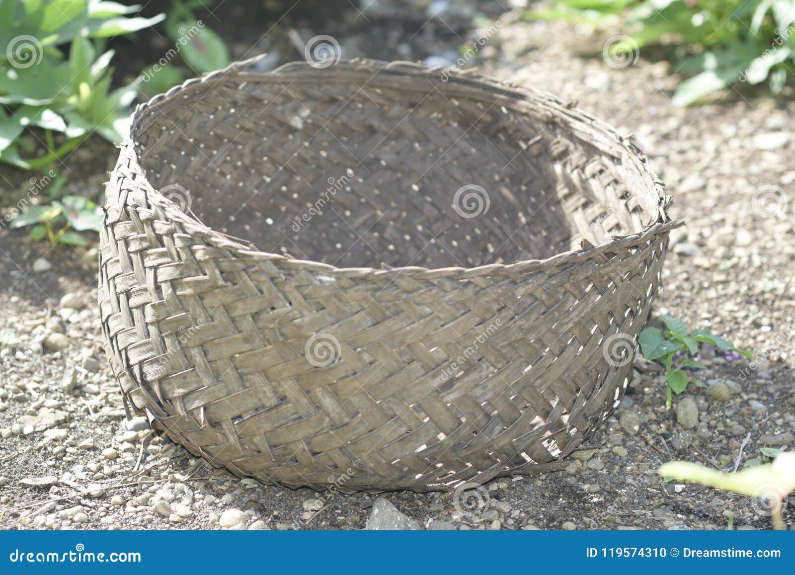 Alfombra de palma de coco natural alfombra cesta de flores cesta de pared cesta de coco palma colgante cesta estera animal animal reptil alfombra 40100 cm