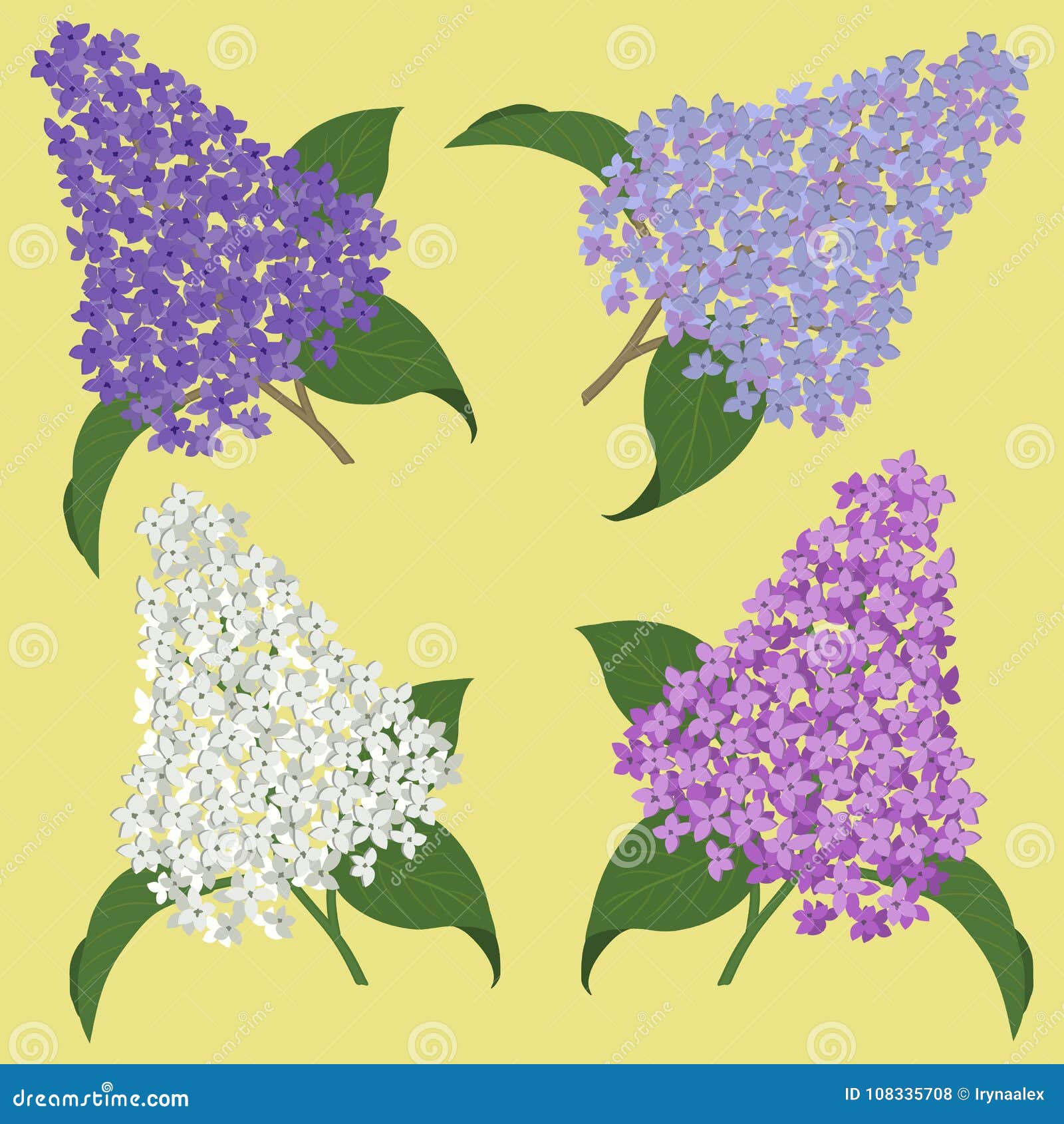 Una Colección De Diferentes Tipos De Lilas Flores De La Primavera En Un  Fondo Amarillo Ilustración del Vector - Ilustración de violeta, marzo:  108335708