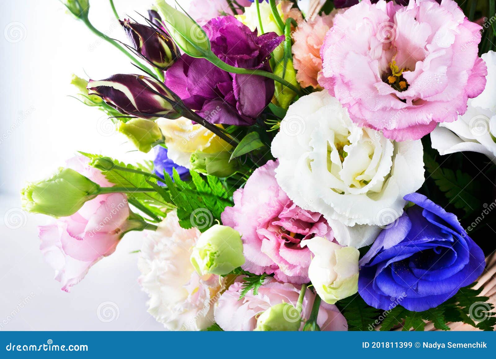 Una Combinación Increíble De Lila Amarilla De Rosa Blanca Y Rosas De Color  Morado En Un Ramo De Flores. Gotas De Agua En Los Pétal Imagen de archivo -  Imagen de primer,