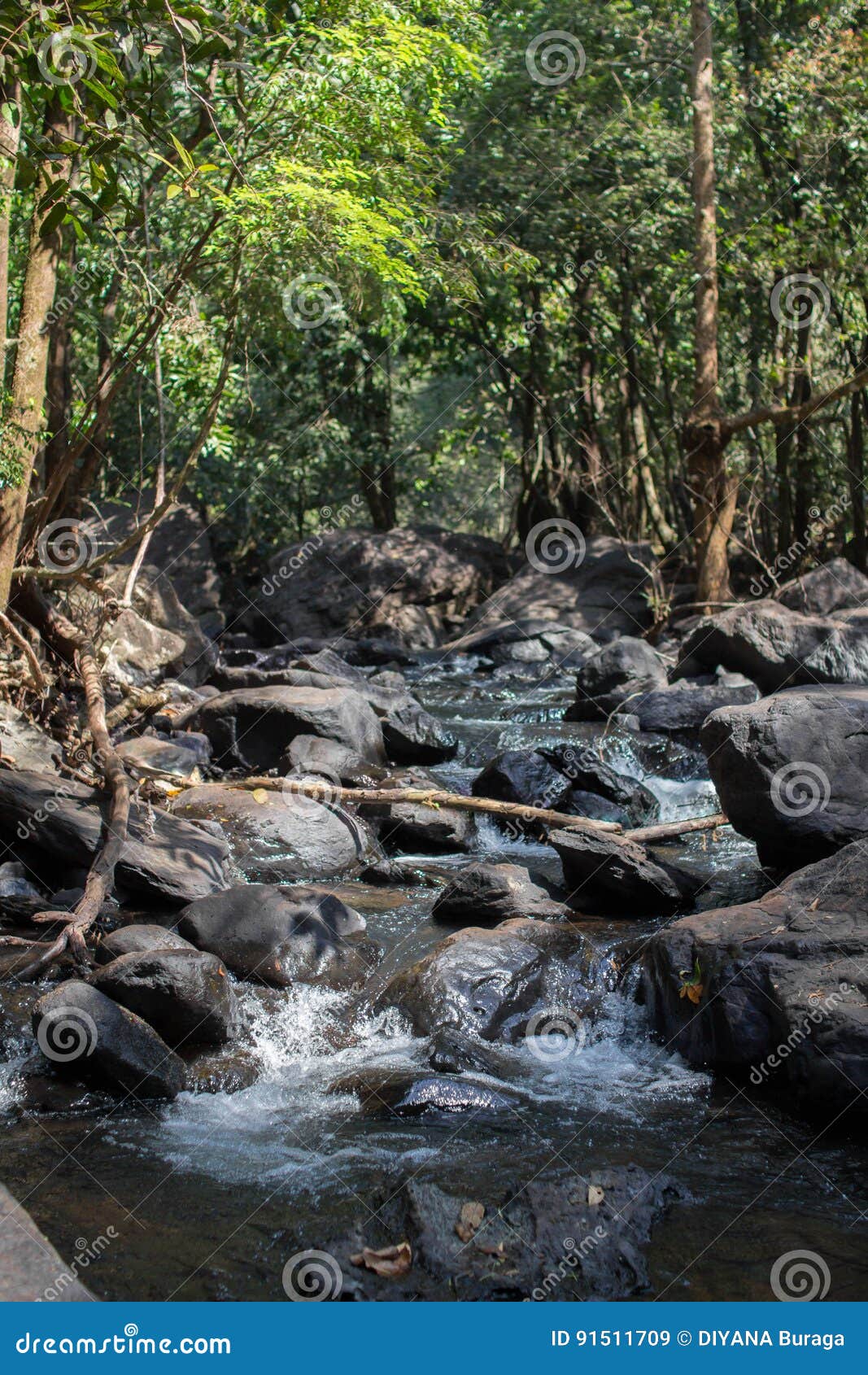 Una Di Belle Cascate Di Estate Della Natura Della Foresta Il Piu Bello Immagine Stock Immagine Di Colore Live