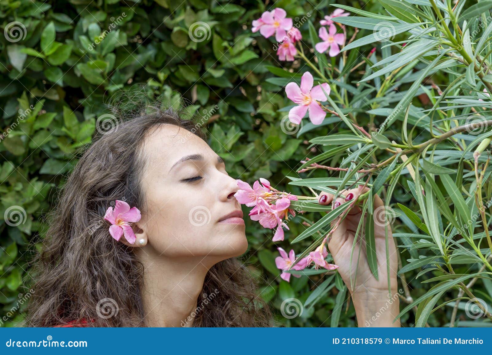 Una Hermosa Muchacha Con Una Flor En El Pelo Huele a Flores De Adelfa Rosa Con Los Ojos Cerrados Imagen de archivo - Imagen de ojos, cubo: 210318579 Una Hermosa Muchacha Con Una Flor En El Pelo Huele a Flores De Adelfa Rosa Con Los Ojos Cerrados Imagen de archivo - Imagen de ojos, cubo: 210318579
