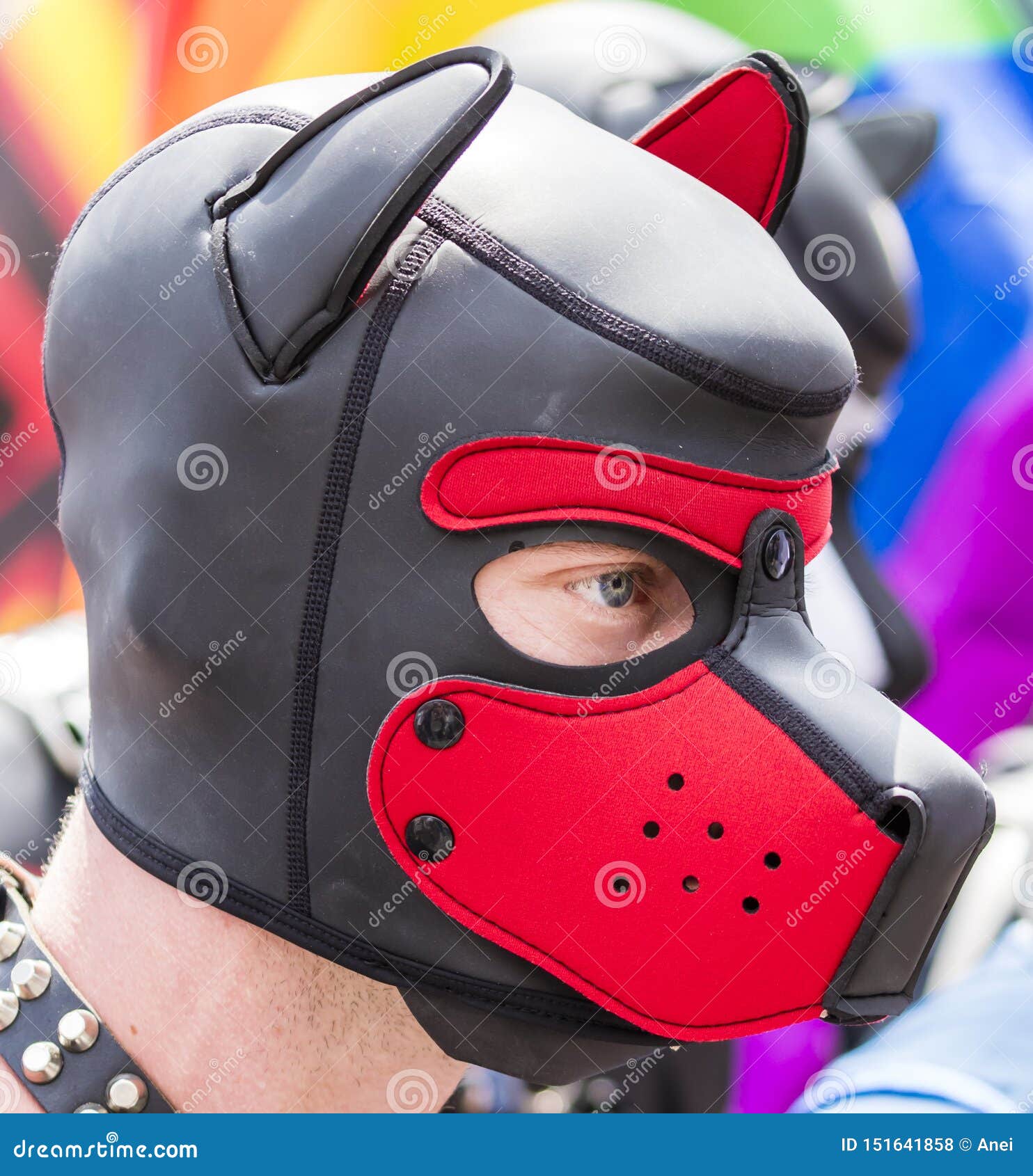 2018: Una Máscara De Cuero Del Perro Del Lleva Que Asiste Al Desfile De Gay Pride También Conocido Como CDS Christo Foto de archivo editorial - Imagen de género,