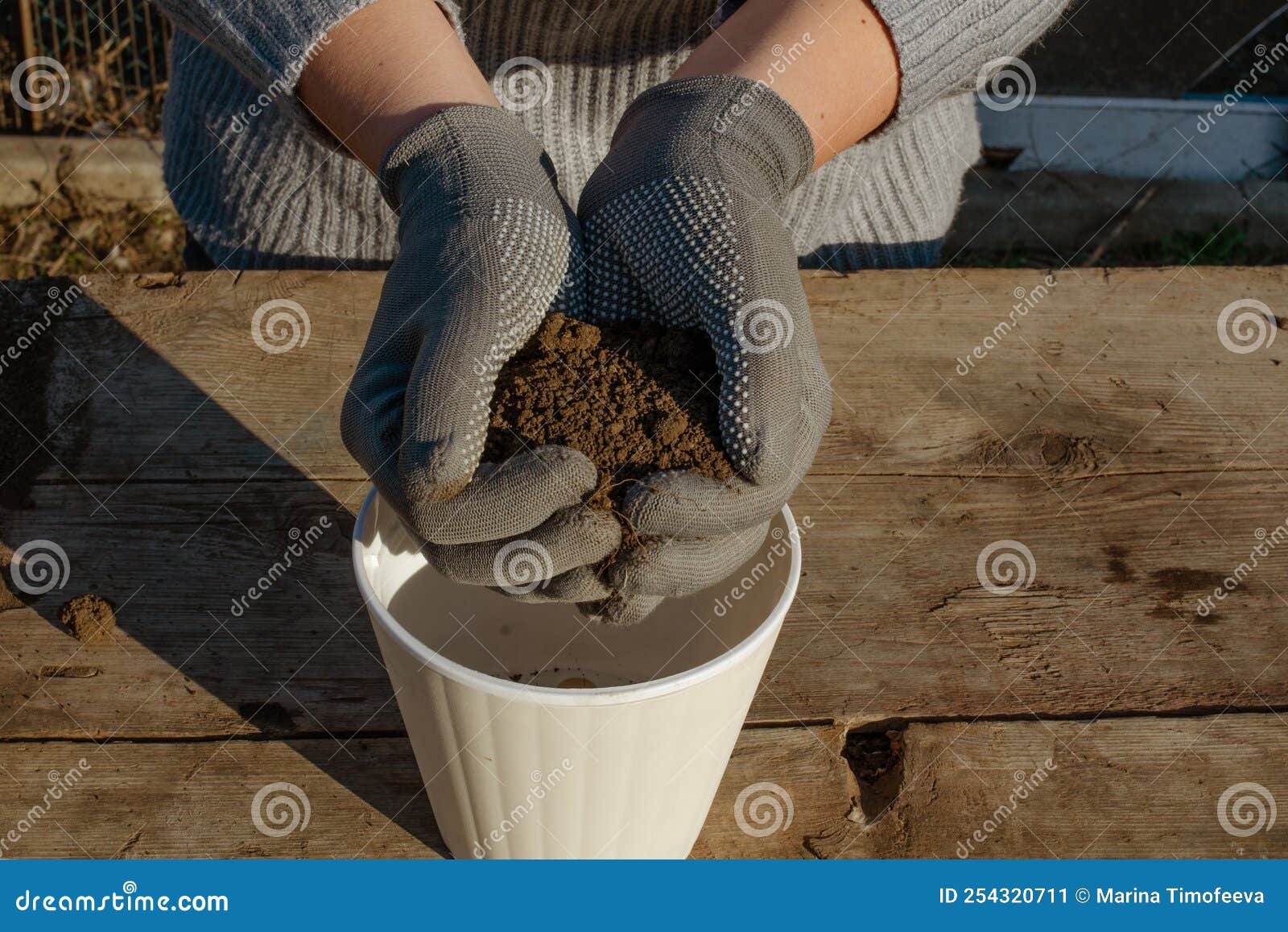 Una Mujer Con Guantes De Trabajo Vierte Tierra En Una Maceta De Flores  Blancas Para Replantar Una Flor Interior Imagen de archivo - Imagen de  nuevo, primer: 254320711