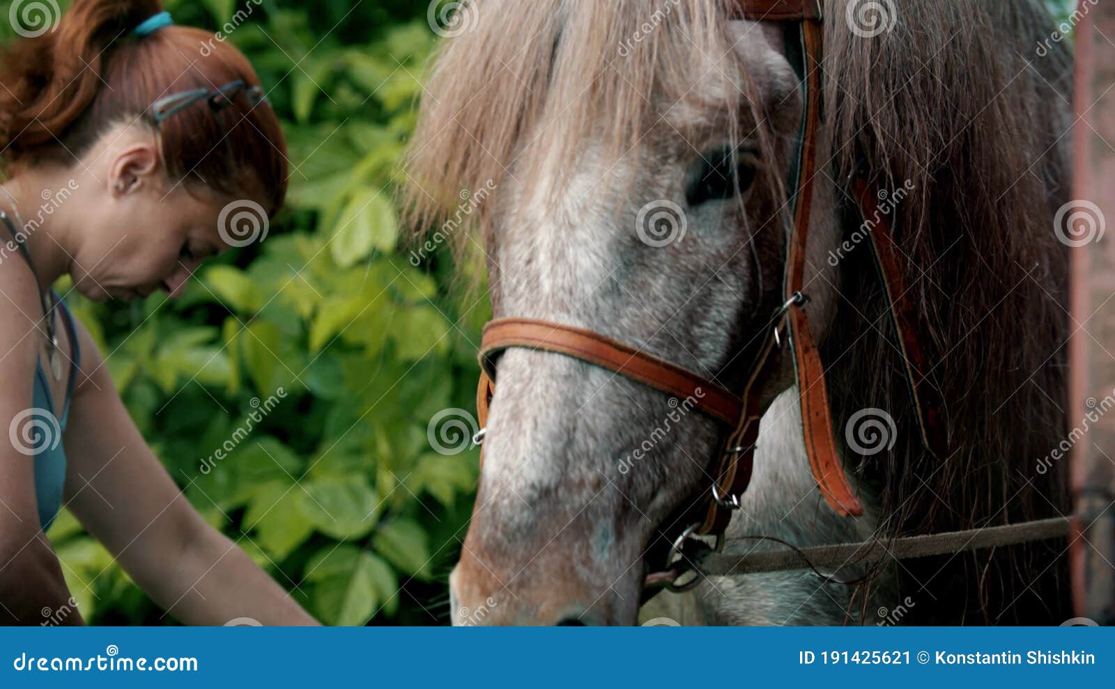 Videos pornos mujeres con caballos