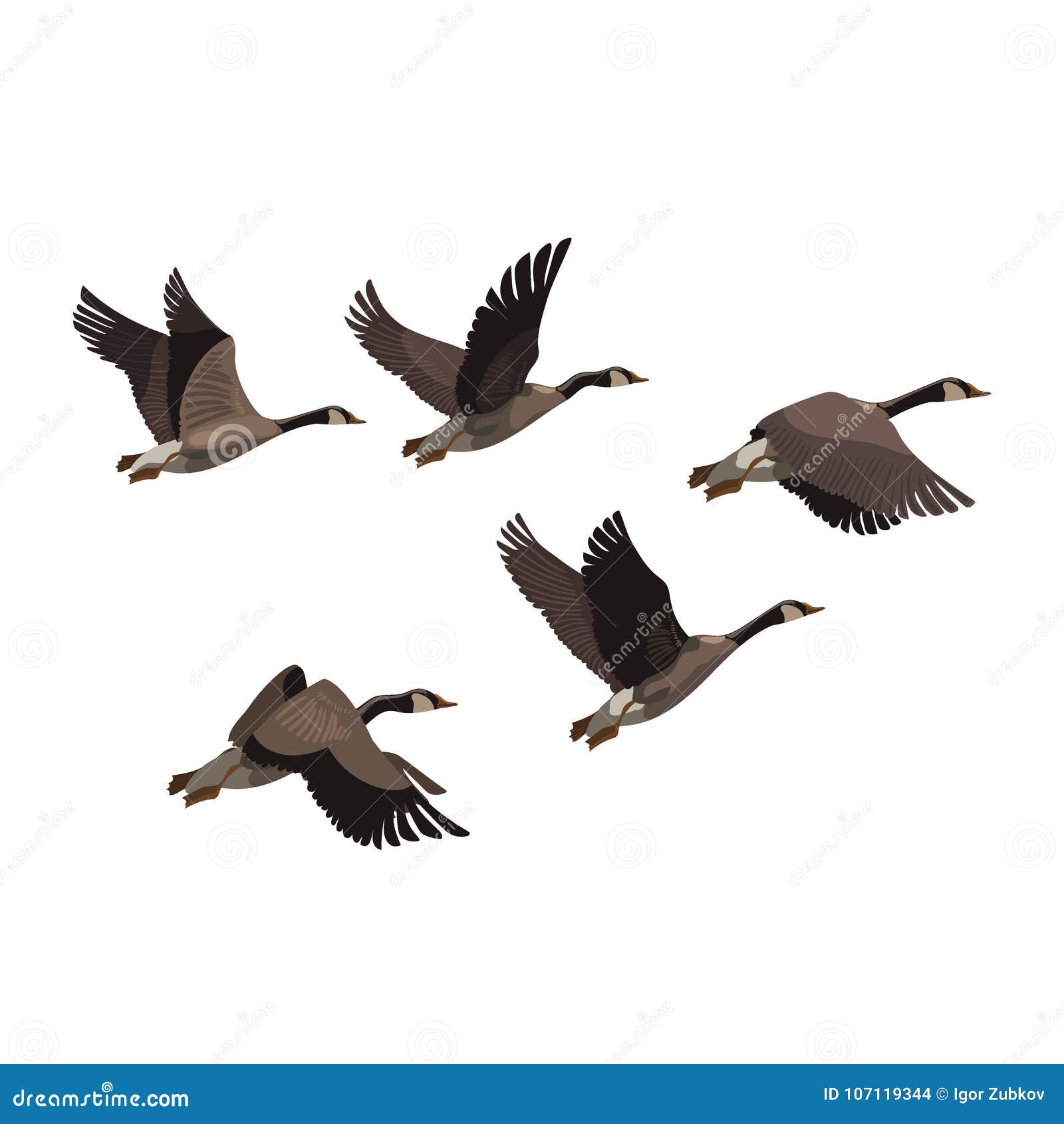 Pequeña bandada de patos volando 02 Modelo 3D $59 - .max .obj .c4d .ma .upk  .unitypackage .usd - Free3D, image size:1600x1690