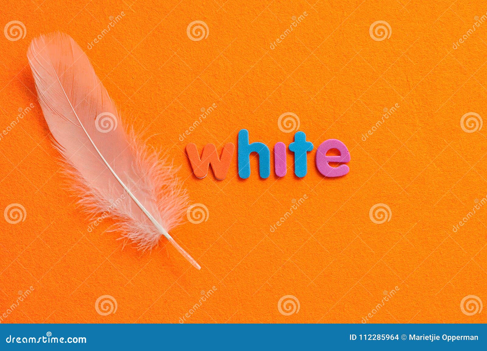 Una Pluma Blanca Con El Blanco De La Palabra Foto de archivo Imagen