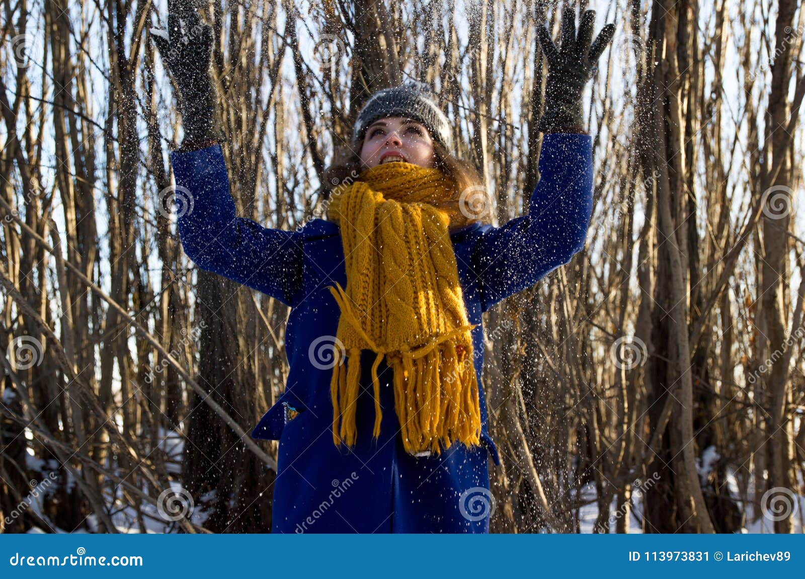 Una ragazza su una passeggiata nel parco nell'inverno in precipitazioni nevose Sta portando un cappotto porpora e una sciarpa gia. Ragazza su una passeggiata nel parco nell'inverno in precipitazioni nevose Sta portando un cappotto porpora e una sciarpa gialla grigia e del cappello