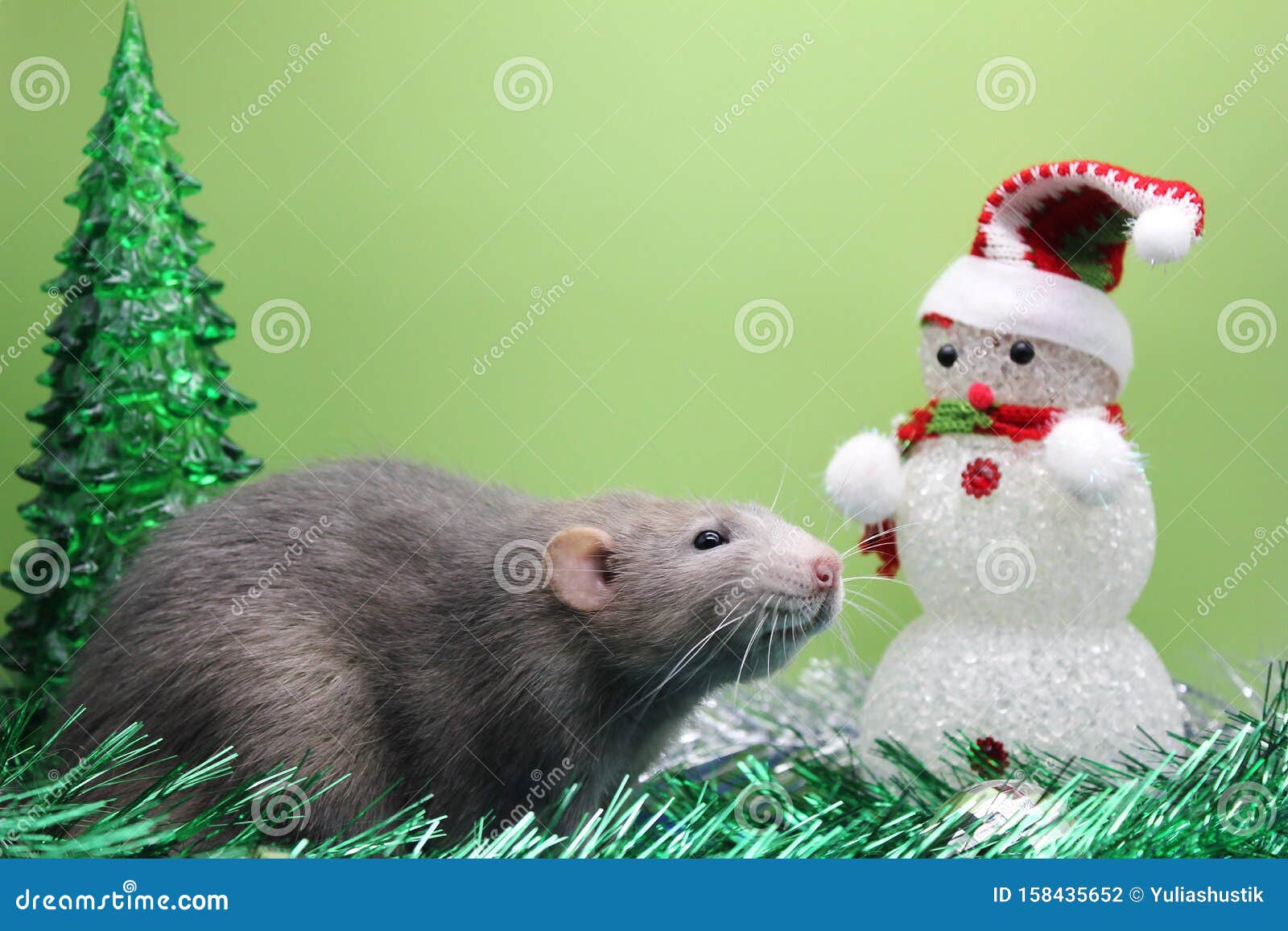 Una Rata Es Un SÃmbolo Del Nuevo Año 2020 Cerca De Un árbol De Navidad De Juguete Y Un Muñeco De Nieve Entre Los Mejillones Foto de archivo - Imagen de nuevo,