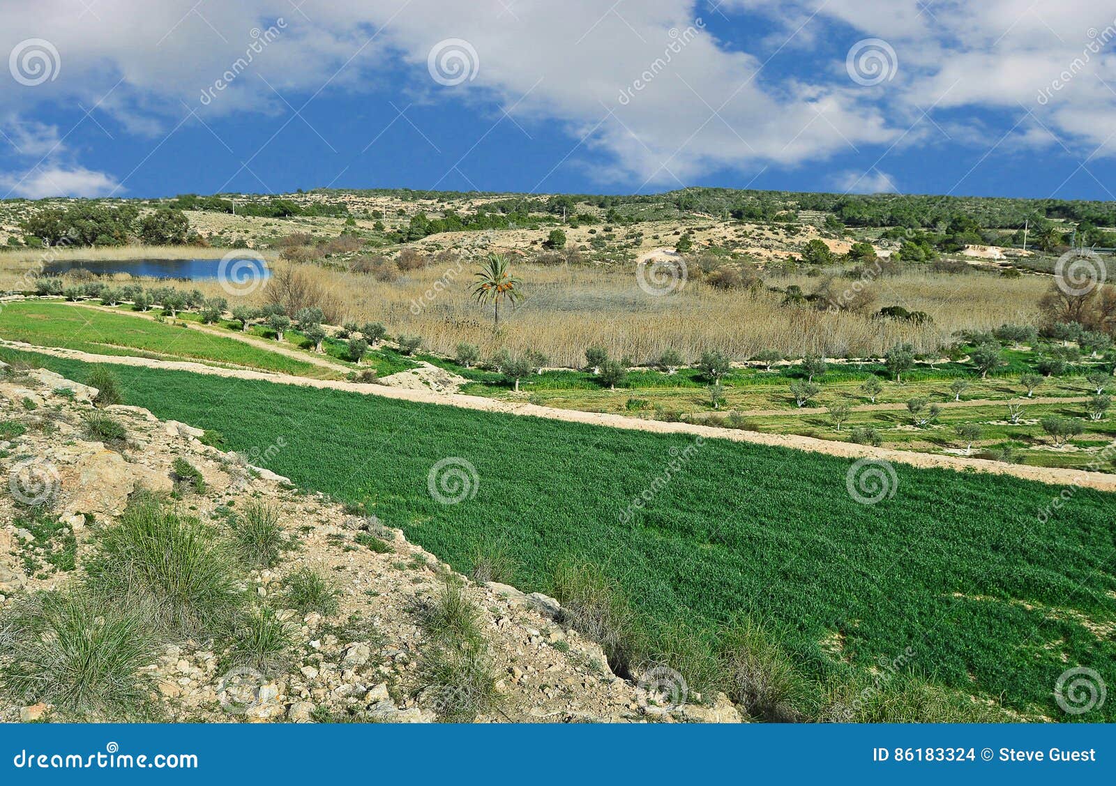 Una Valle Verde Con Il Lago Distante Fotografia Stock Immagine di