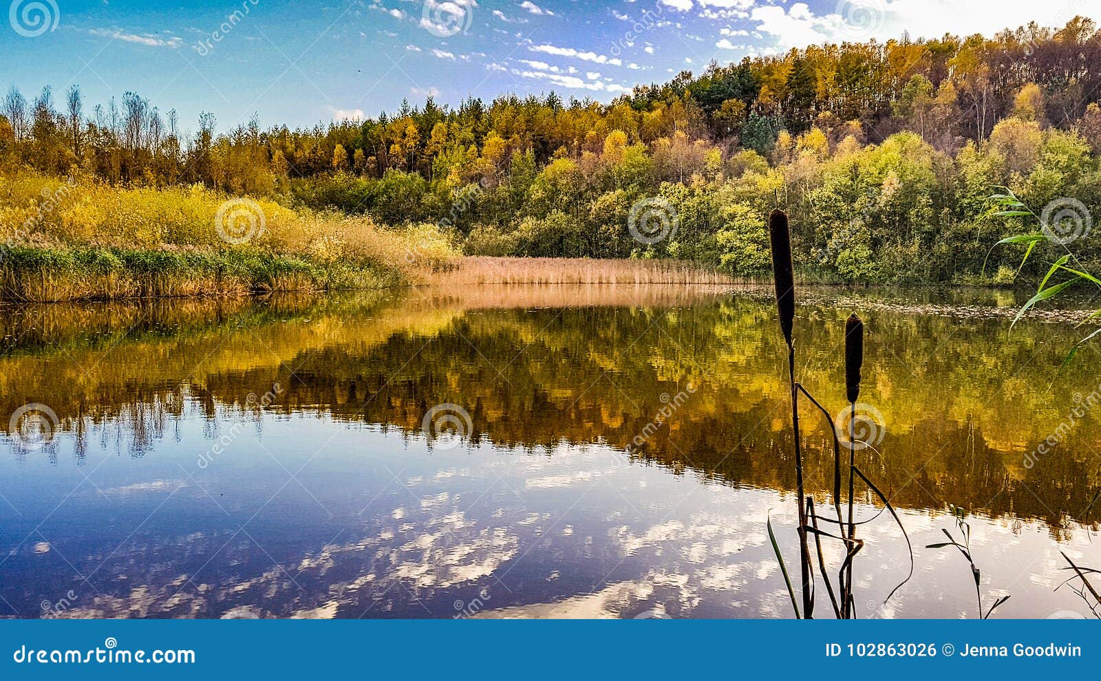 Una vista di autunno sopra un lago in Freehay, Staffordshire